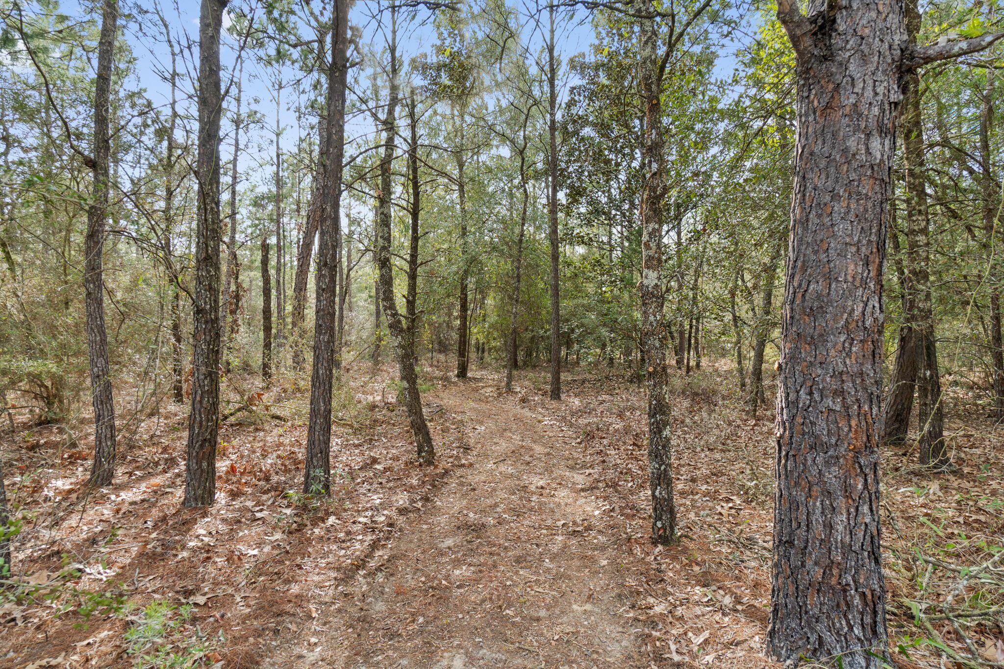 Delaware Plantation Unrecorded - Land
