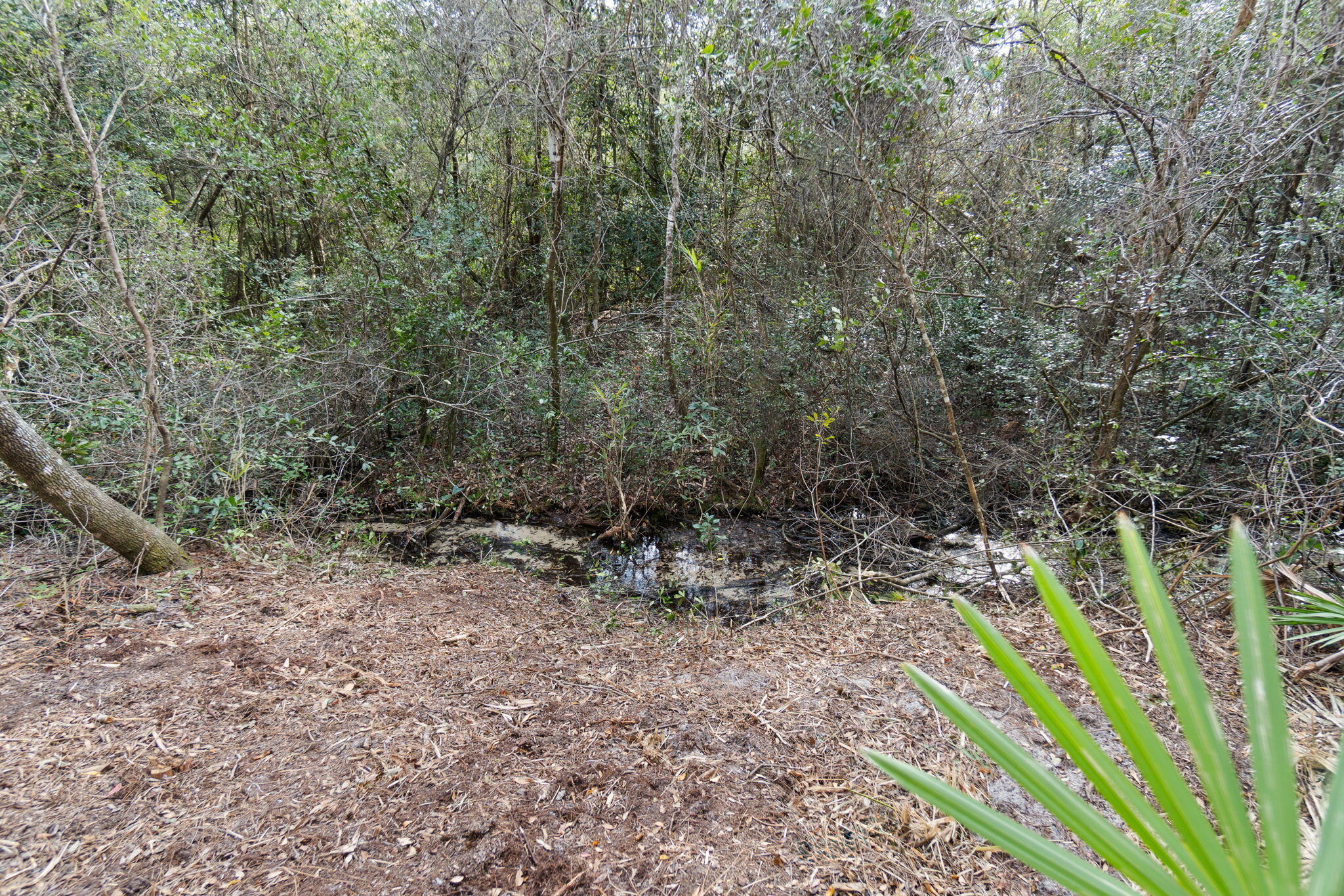 Delaware Plantation Unrecorded - Land