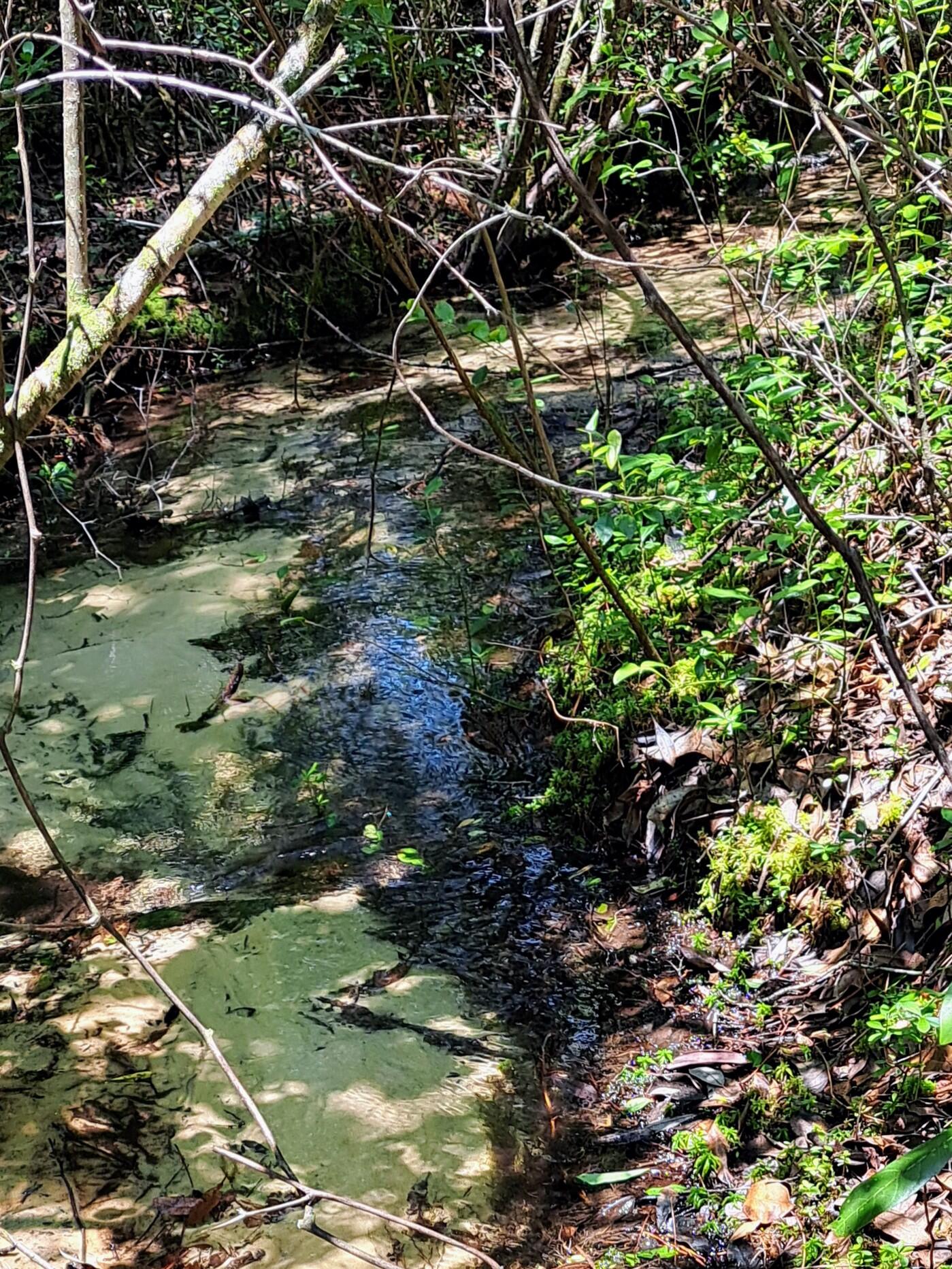 Delaware Plantation Unrecorded - Land