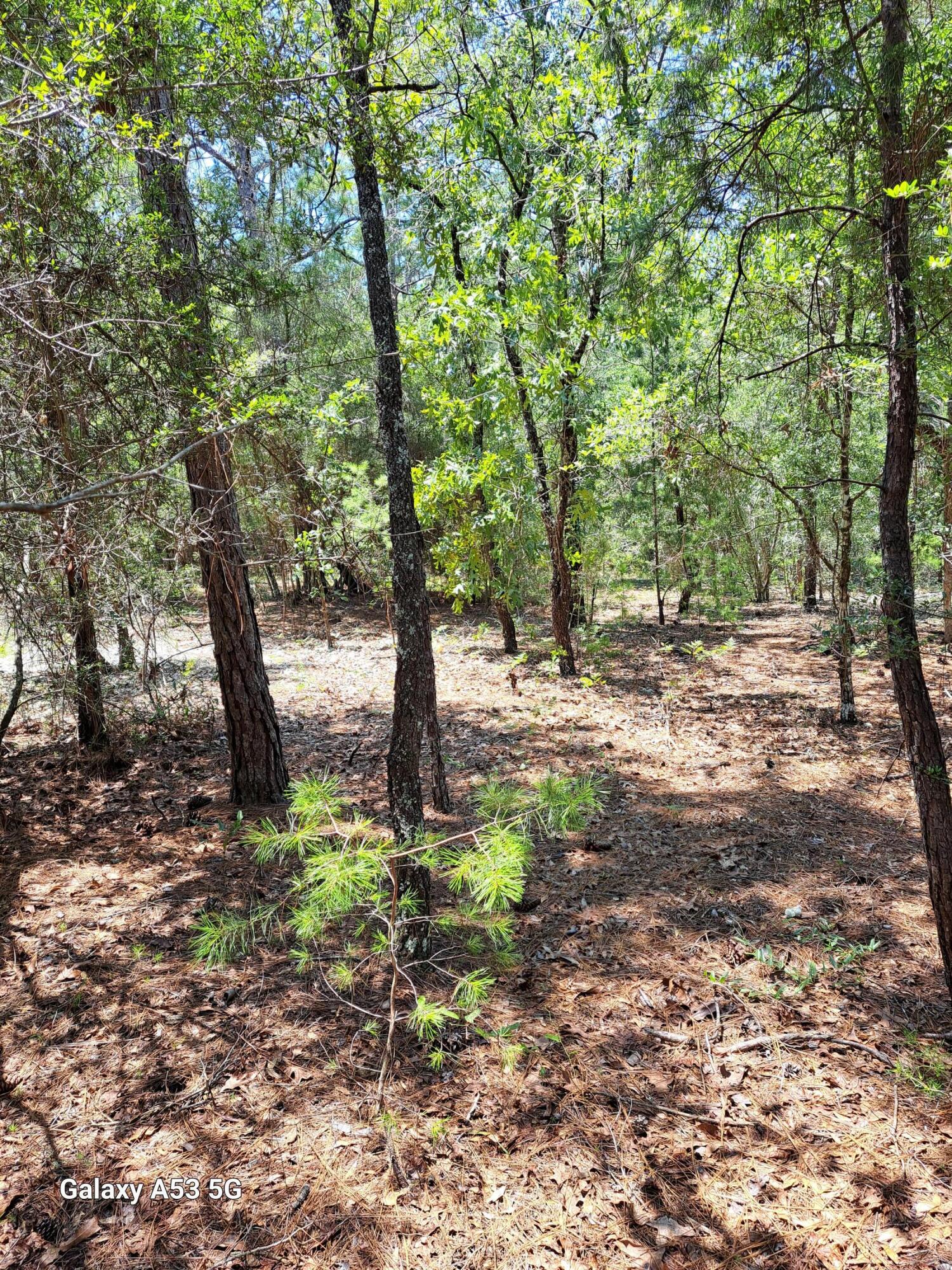 Delaware Plantation Unrecorded - Land