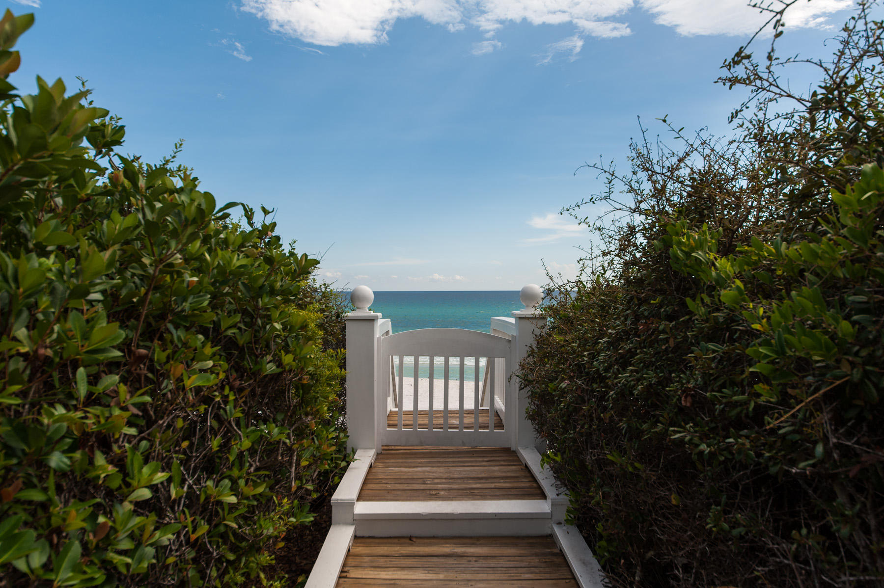 JASMINE DUNES - Land