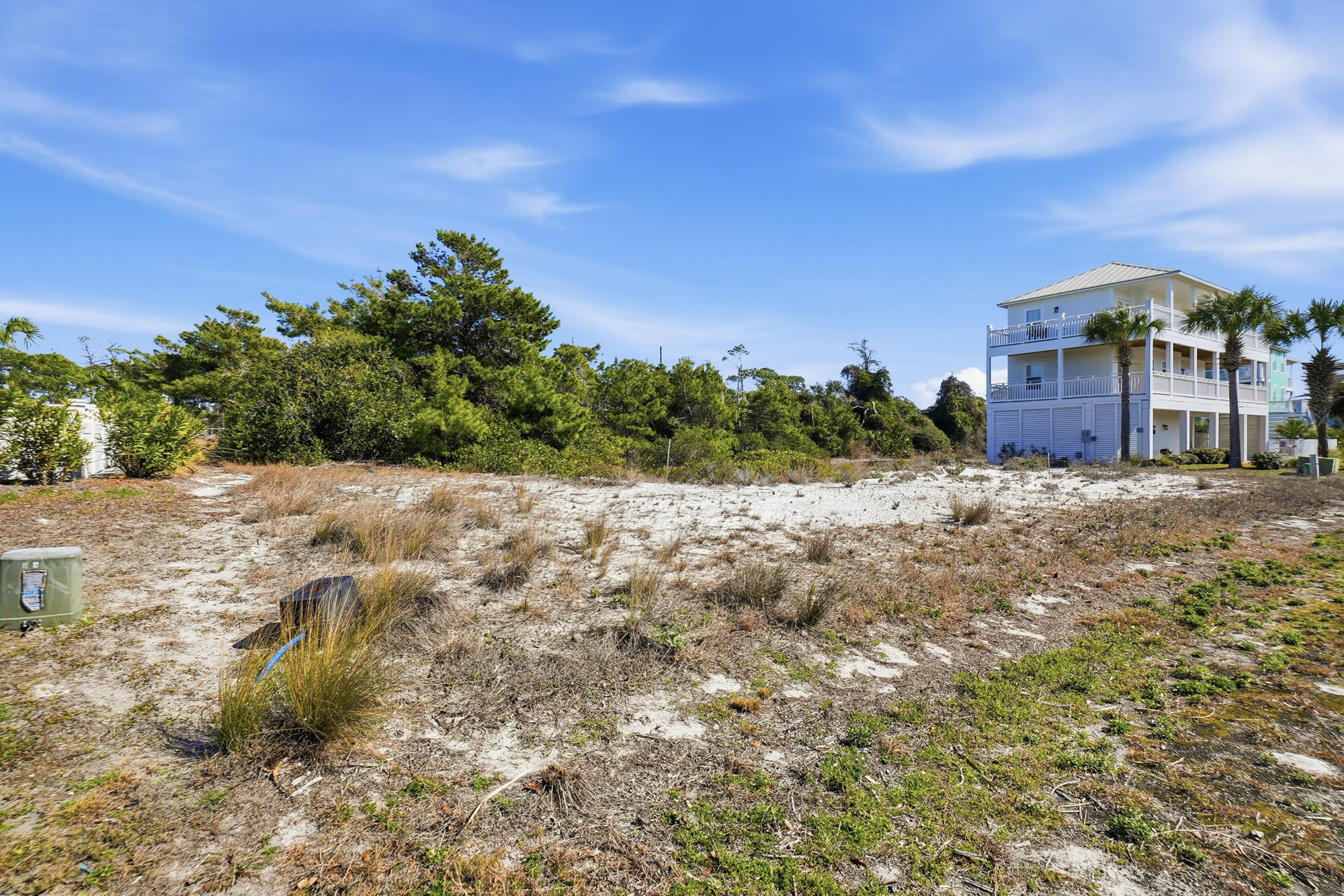Seagrass - Land