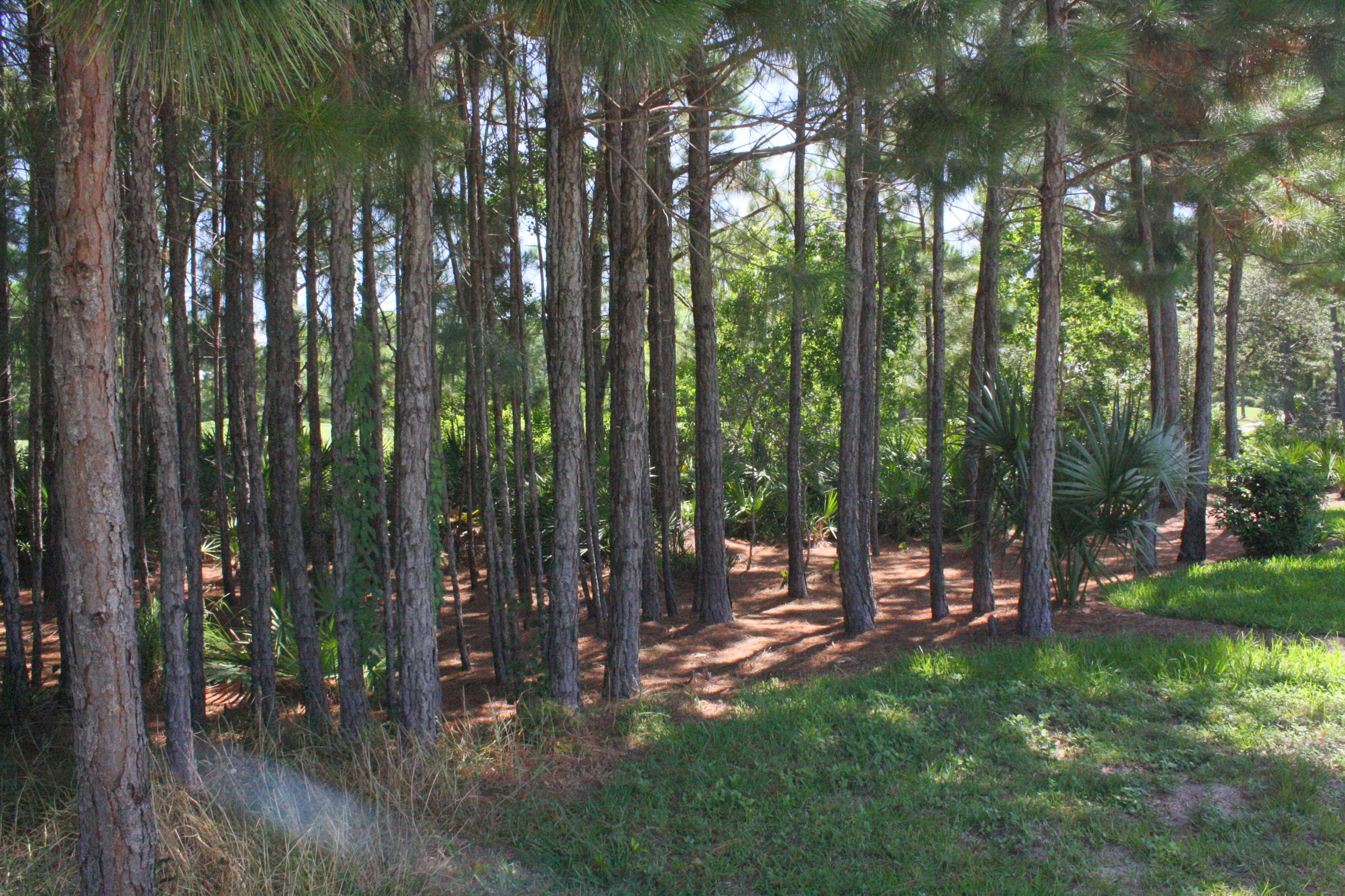 KELLY PLANTATION  Carriage Place - Land