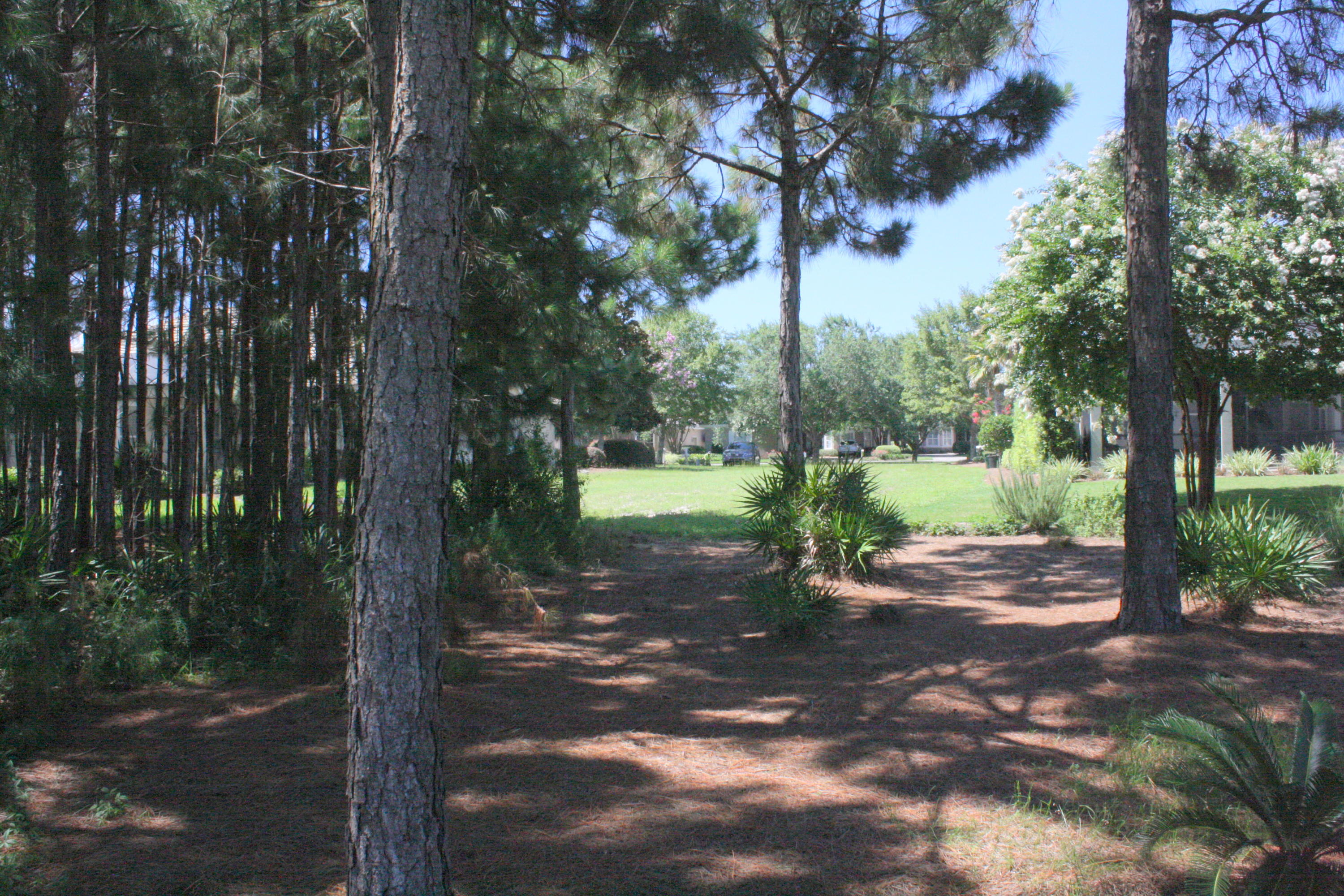 KELLY PLANTATION  Carriage Place - Land