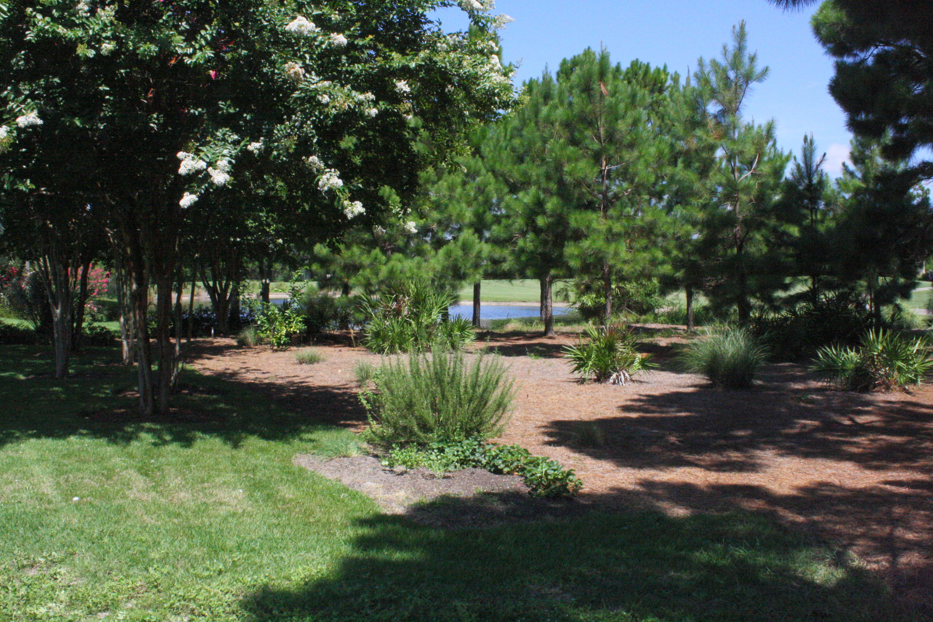 KELLY PLANTATION  Carriage Place - Land