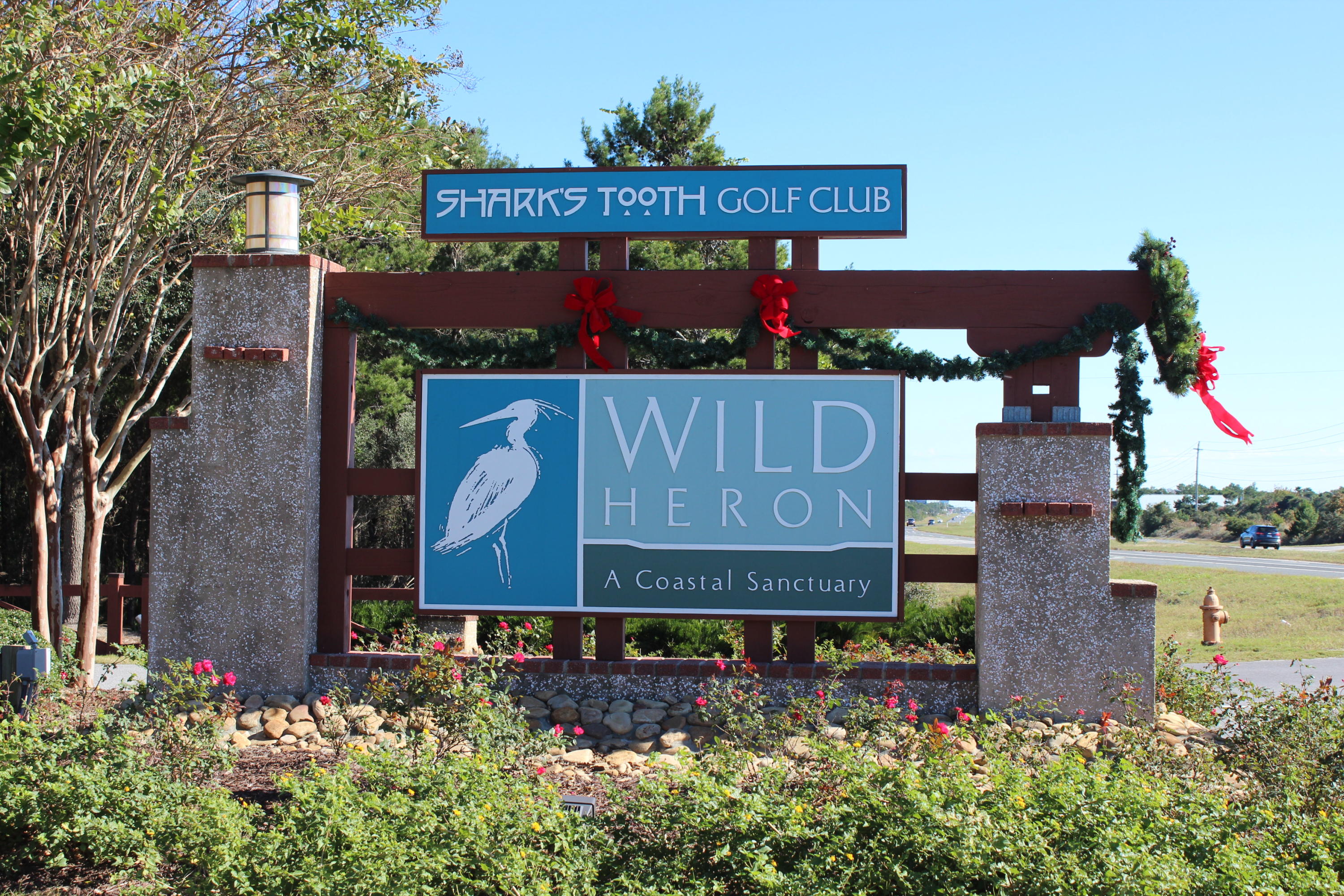 WILD HERON - Land