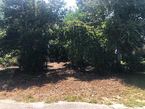 WYNNEHAVEN BEACH ESTATES - Land