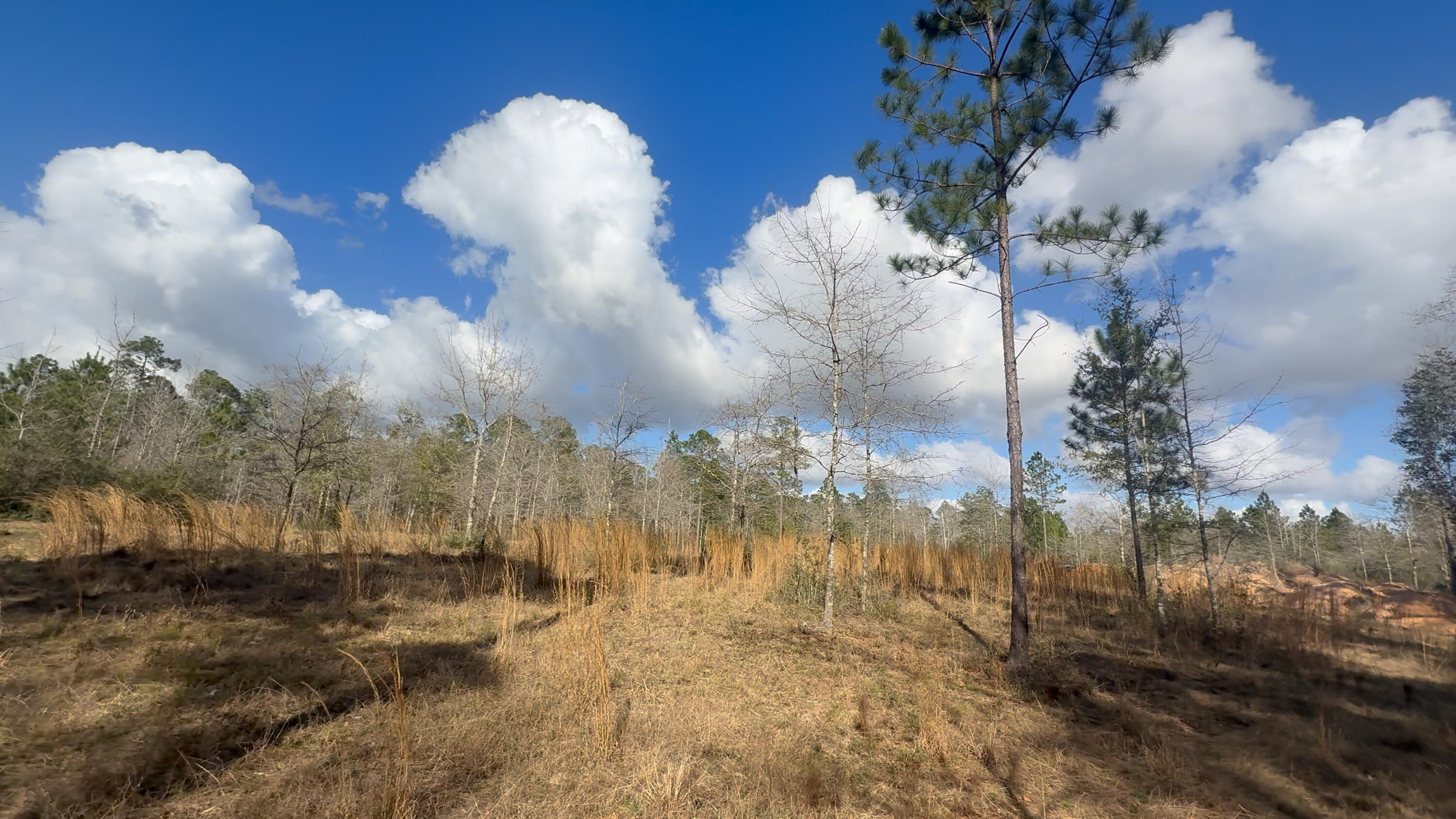Vacant land offering 18.69 acres (Parcel ID: 02-2N-30-0000-00173-0000) with an additional adjoining 15.09-acre parcel (Parcel ID: 02-2N-30-0000-00174-0000) also available for purchase. Combined, both properties total 33.78 acres of private land.

This property is accessed by a shared easement with two other owners and zoning does not allow development, making it ideal for those seeking a private recreational retreat, family compound, or outdoor getaway. The land features natural topography, a creek running through the property, and areas suitable for wildlife and deer plots, creating an excellent setting for nature enthusiasts and hunters.

With plenty of room for recreational vehicles, four-wheelers, and outdoor activities. All showings must be booked & accompanied by a realtor Partially cleared areas provide opportunities to create trails, gathering spaces, or a private escape surrounded by nature.

Enjoy the balance of seclusion while still having convenient access to nearby grocery stores and everyday essentials. Located less then ten minutes from New "Wallace lake K-8", approximately 40 minutes to downtown Pensacola, and about 50 minutes to the beautiful white sand beaches of Pensacola Beach.