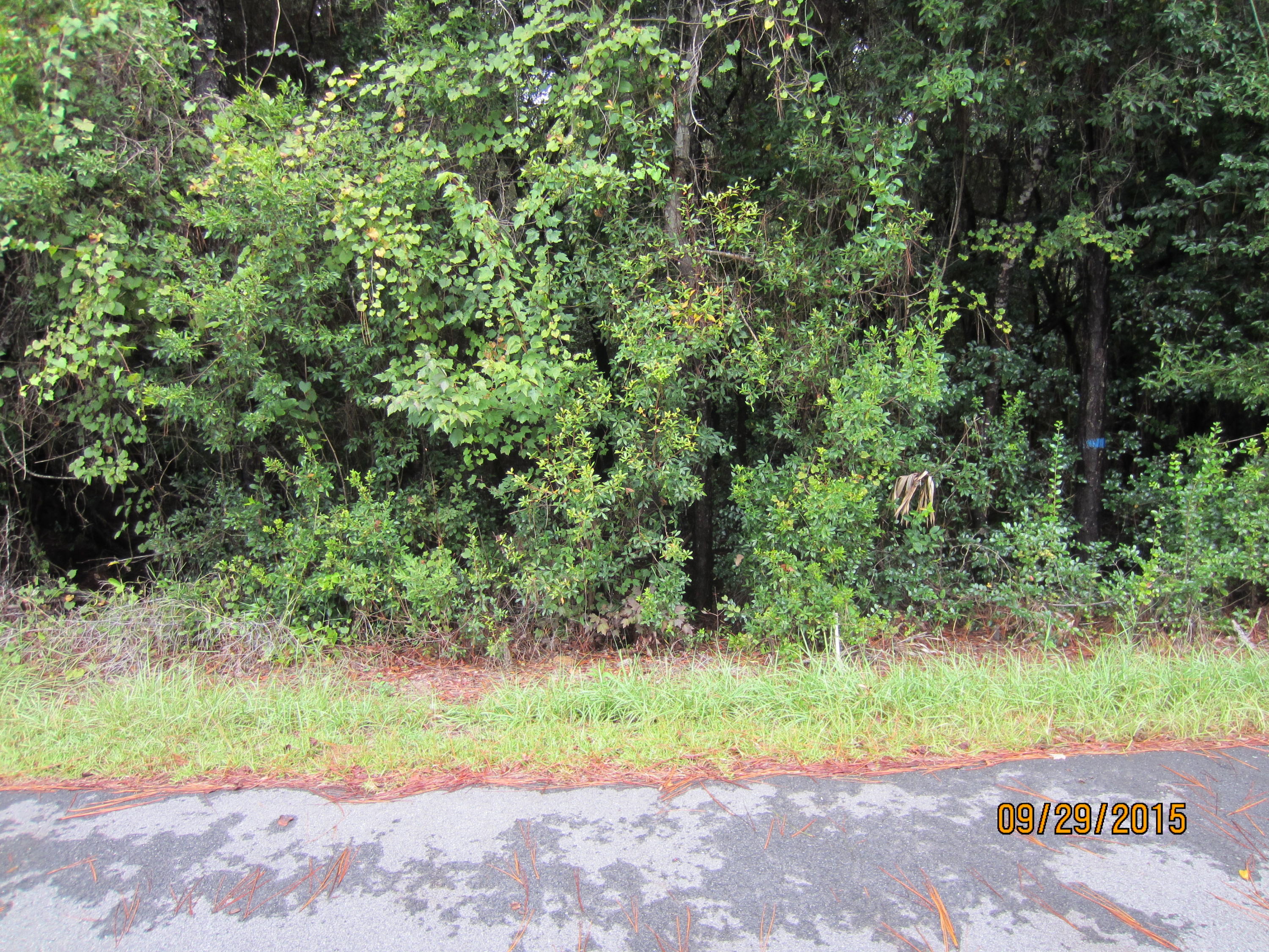 PRICE REDUCED. Residential vacant lot located on a paved road in a quaint and attractive subdivision away from the hustle and bustle of tourism but still close enough to enjoy the beautiful white beaches of South Walton and the popular Scenic 30A corridor. This lot has no build-out time period requirements and no association that required you to pay dues. No mobile homes allowed by deed restrictions. Great value. Should you need two lots that are adjacent Lot 27 is also available. Take advantage of this price reduction now.