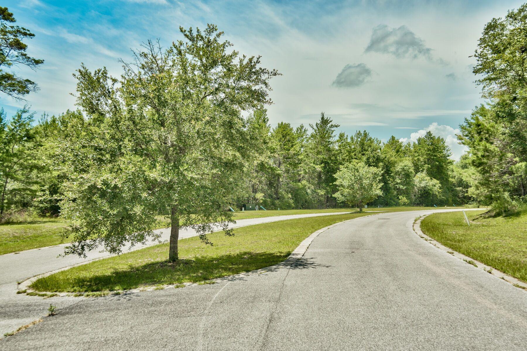 HAMMOCK OAKS ESTATES - Land
