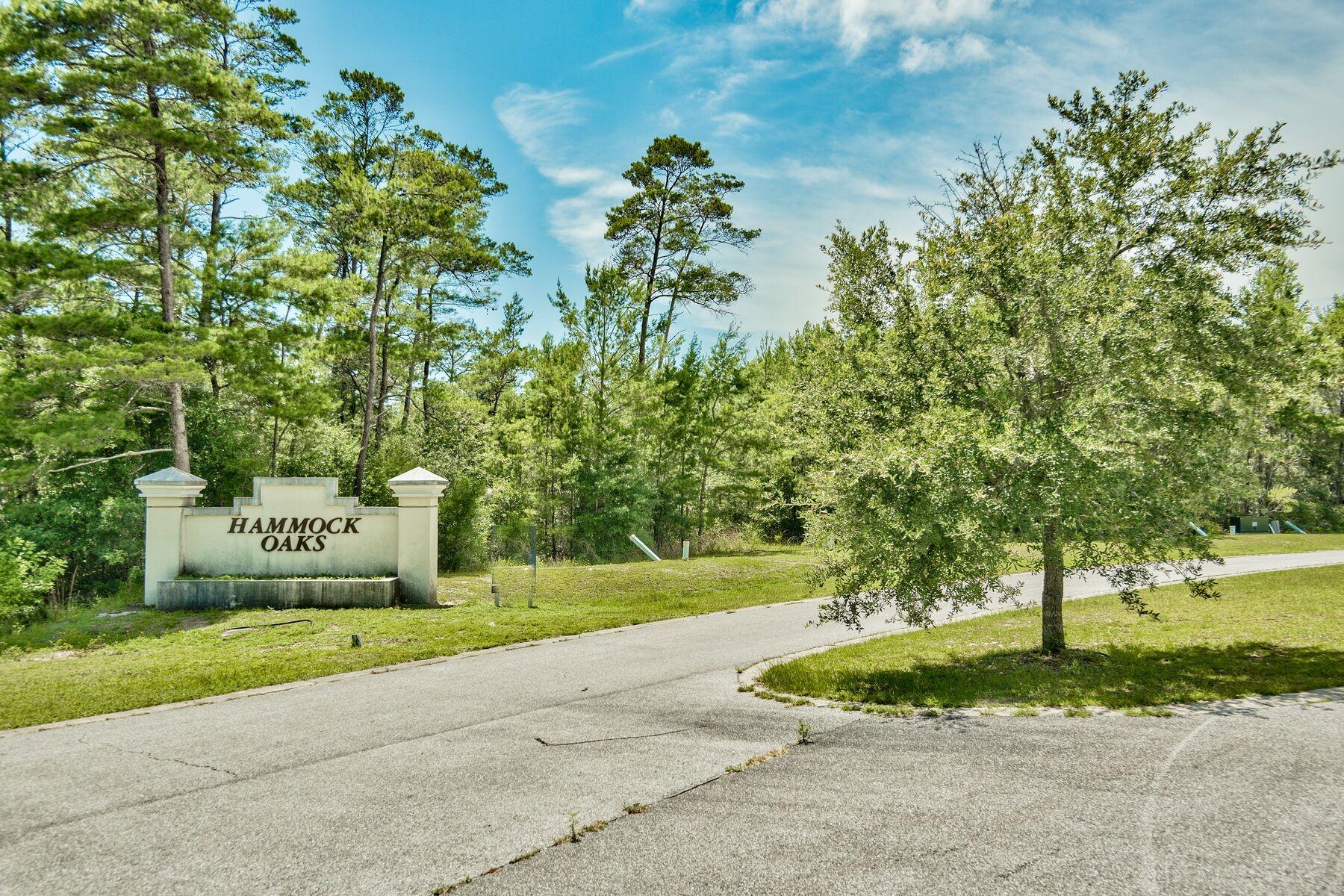 HAMMOCK OAKS ESTATES - Land