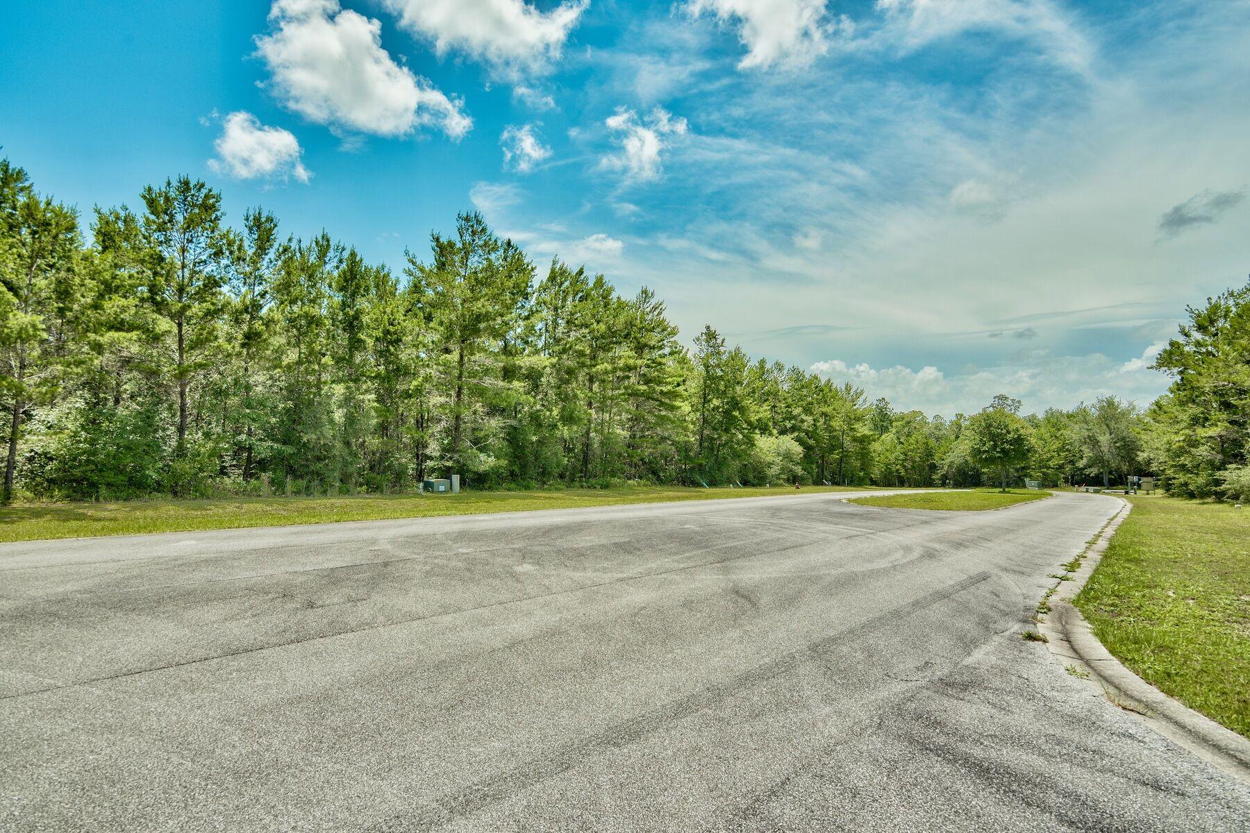HAMMOCK OAKS ESTATES - Land