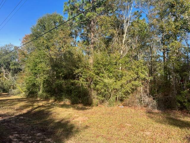 Haymeadow Hammock - Land
