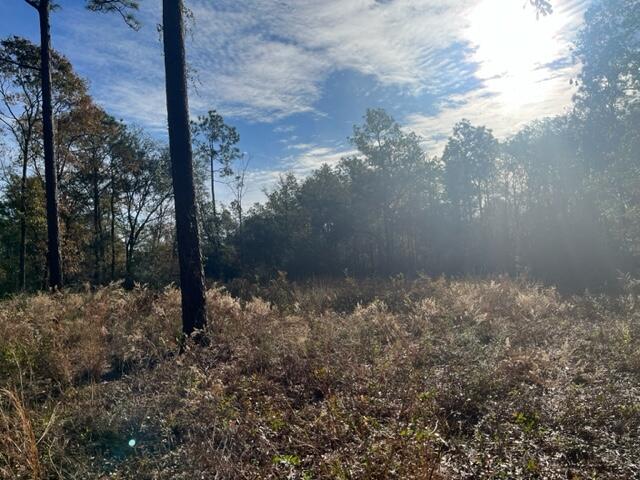 Haymeadow Hammock - Land