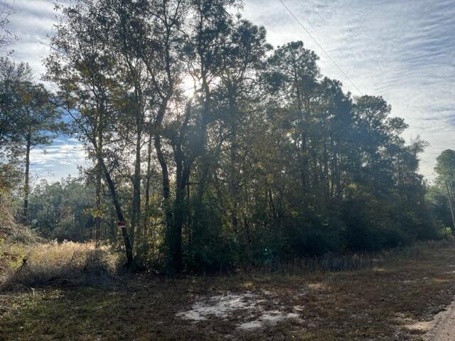 Haymeadow Hammock - Land