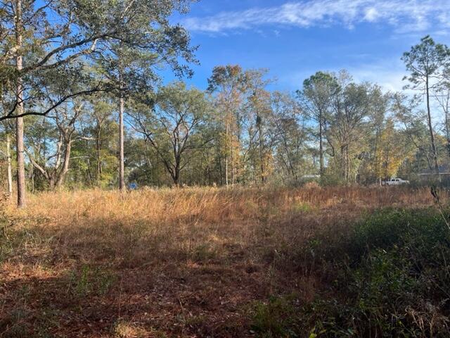 Haymeadow Hammock - Land