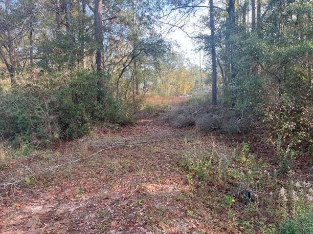 Haymeadow Hammock - Land