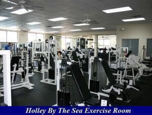 HOLLEY BY THE SEA - Land