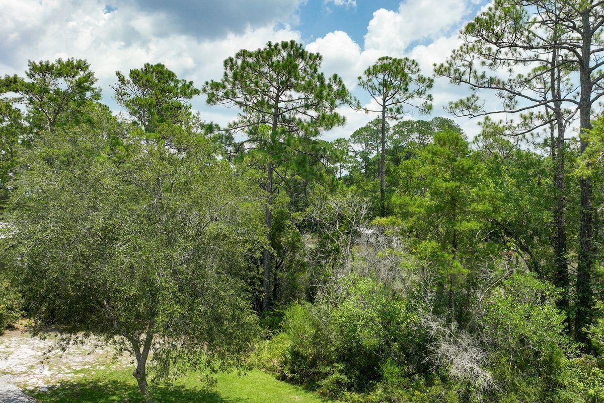 Discover a great opportunity in Point Washington. This vacant lot, nestled in the peaceful area of Magnolia Beach, offers a unique selling point - it backs up to a creek that leads to the bayou. Imagine enjoying short rides on the canal and embracing the tranquility of waterfront living. It sits near plenty of shopping and dining opportunities and is just a short drive to the world-renowned South Walton beaches.