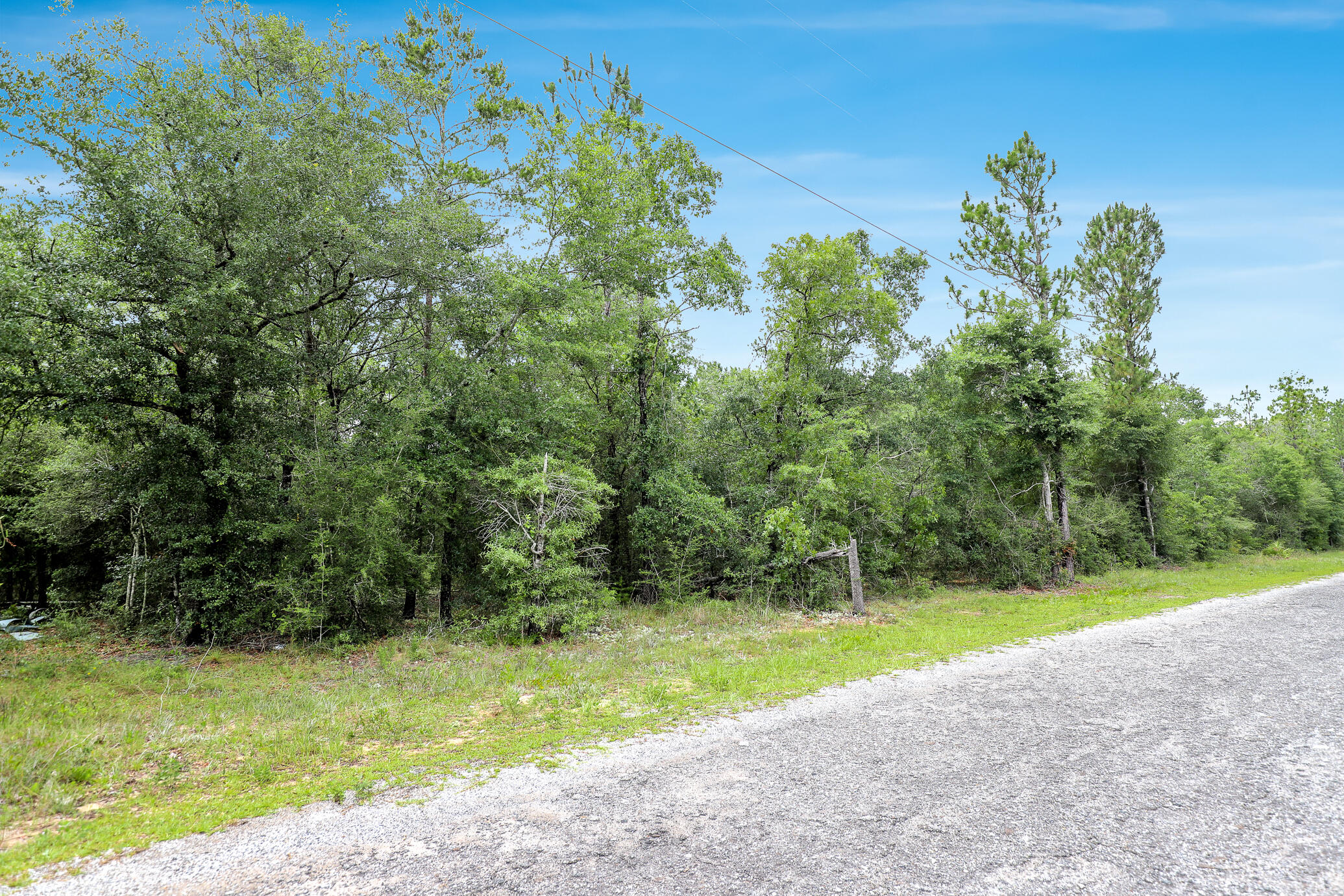 GREAT LOCATION with no HOA fees! Build your getaway home or place a mobile home. Vacant wooded lot, 0.38 of an acre in size with easy access to main highways.  0.7 miles from HWY 90, and less than 7 (seven) miles from hardware and grocery stores, schools, downtown, and the beautiful historic Lake of Defuniak. Nature lovers, this property is near many great outdoor activities like fishing, golfing, national parks, and the beautiful beaches of the Emerald Coast! (Close by popular cities: Niceville, Crestview, Destin Florida, 30A / Seaside, and Panama City Beach) This high and dry lot is located in a NON-flood zone. County-maintained gravel road.

There are no utilities currently on the property.

Power: Available in the area
Water: Would be public water
Sewer: Would require a septic system

Claim your piece of Florida land