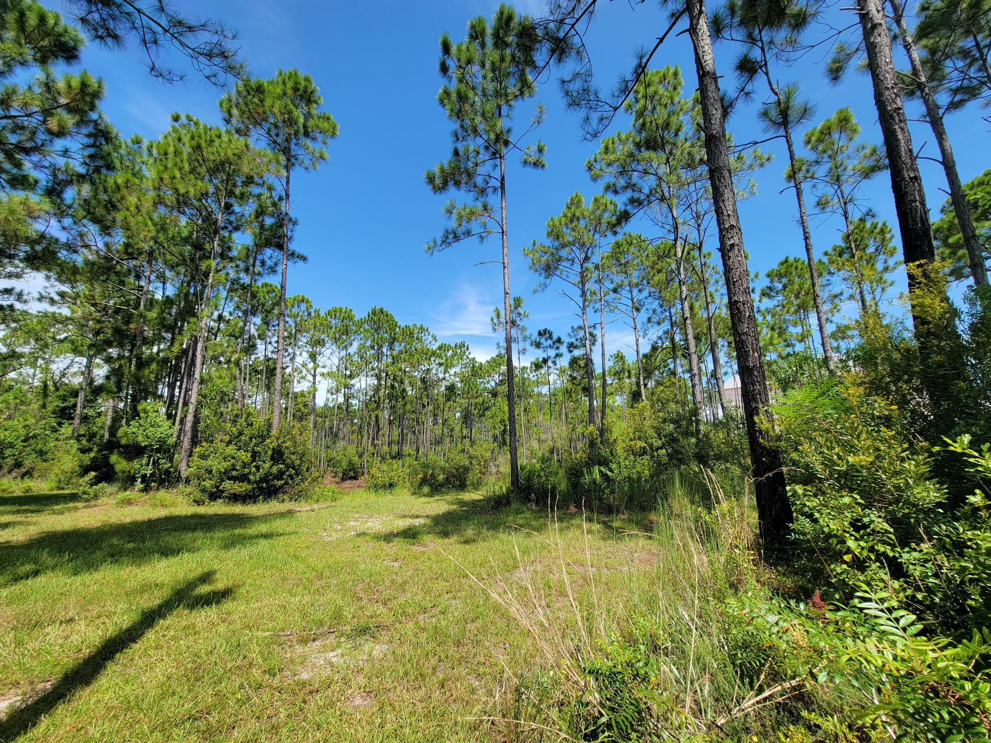 Discover a rare opportunity to own a spacious .4625-acre lot in the heart of South Walton's thriving coastal community! Located at Lot 8, Delbert Lane Nestled at the end of a cul-de-sac, offering a serene setting with one neighboring property to the east. Bordering a scenic community area & pond to the west, this lot is perfect for your dream home. Situated south of Highway 98, a highly sought-after area, this lot is one of the few remaining undeveloped parcels of its size in Santa Rosa Beach. With no build-out time restrictions, you have the flexibility to design and construct at your own pace. Walton County property records confirm the lot's generous dimensions and prime location, making it an exceptional find in a rapidly growing region.South Walton's economy is flourishing, driven by tourism and recreation, with Santa Rosa Beach's iconic sugar-white beaches and emerald-green waters drawing visitors and residents alike. The average property sale price in Santa Rosa Beach is approximately $1.2 million, reflecting the area's strong demand and premium value (CountyOffice.org, 2025). This lot offers a unique chance in a vibrant, growing community known for its natural beauty and economic vitality. Don't miss this opportunity to aquire a rare, generously sized lot in one of Florida's most coveted coastal destinations. Build your future in Santa Rosa Beach, where opportunity and lifestyle converge. Buyer to verify any due diligence and all information deemed important for future use.