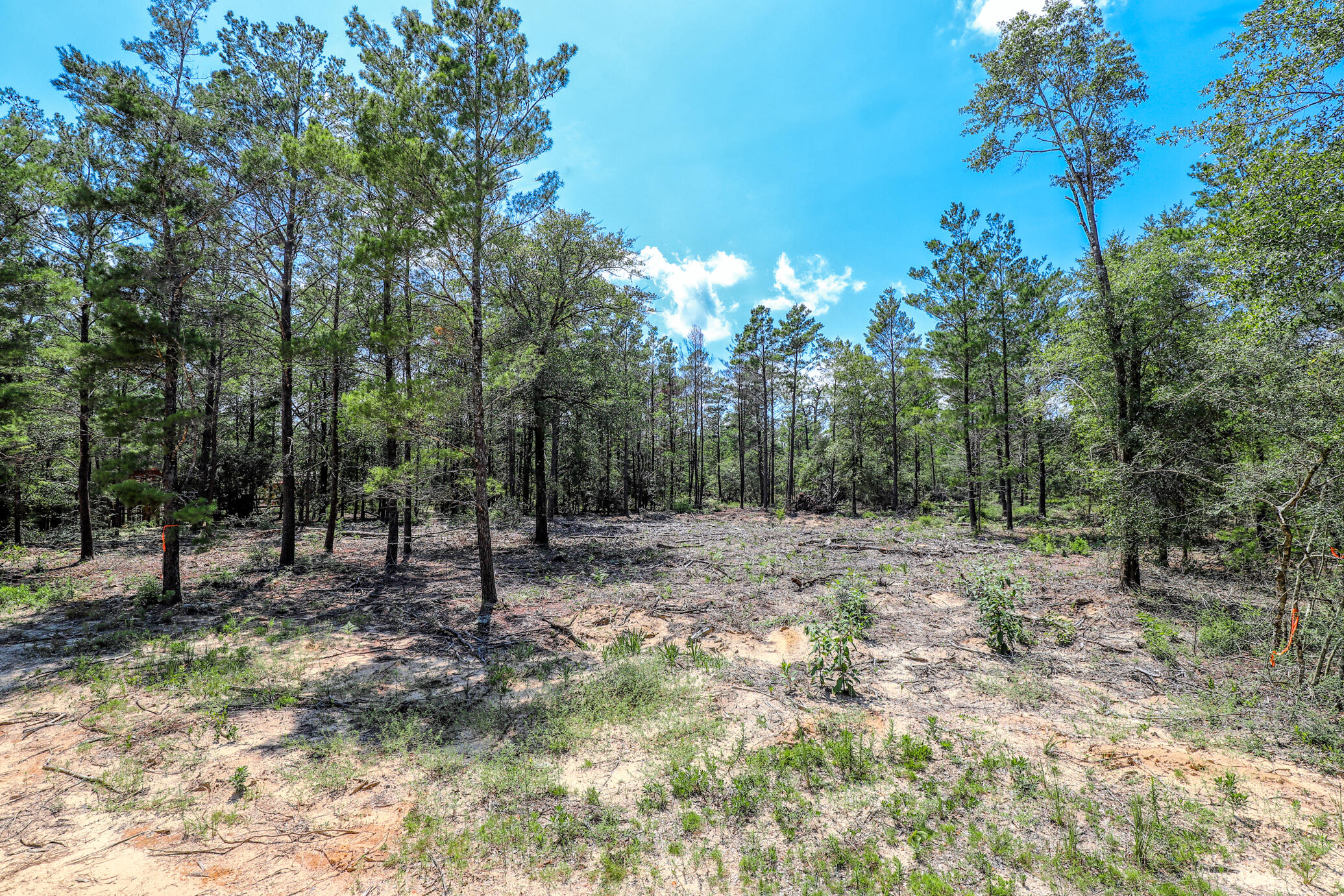 OAKWOOD HILLS UNIT IV - Land