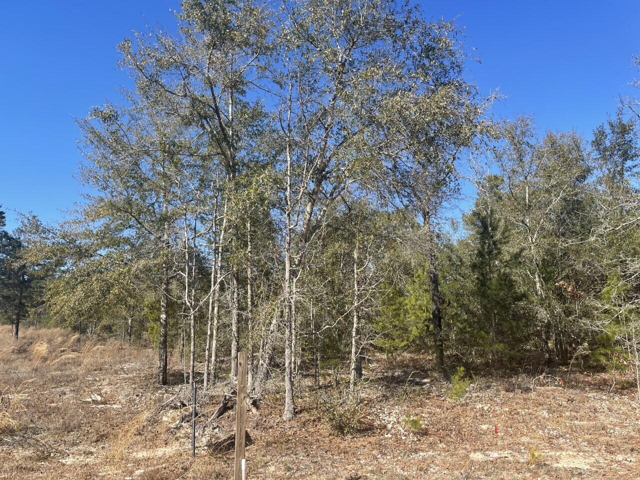 JUNIPER LAKE ESTATES - Land