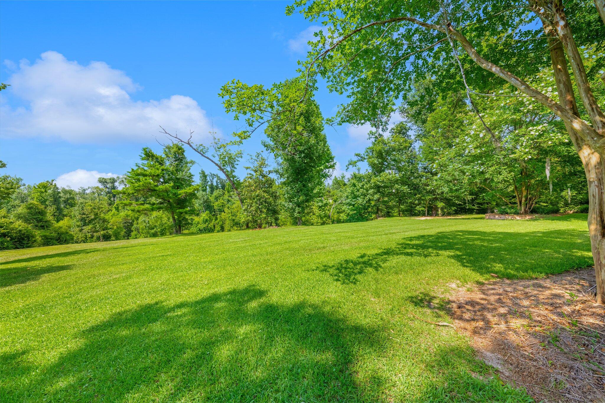 INDIAN SPRINGS - Residential