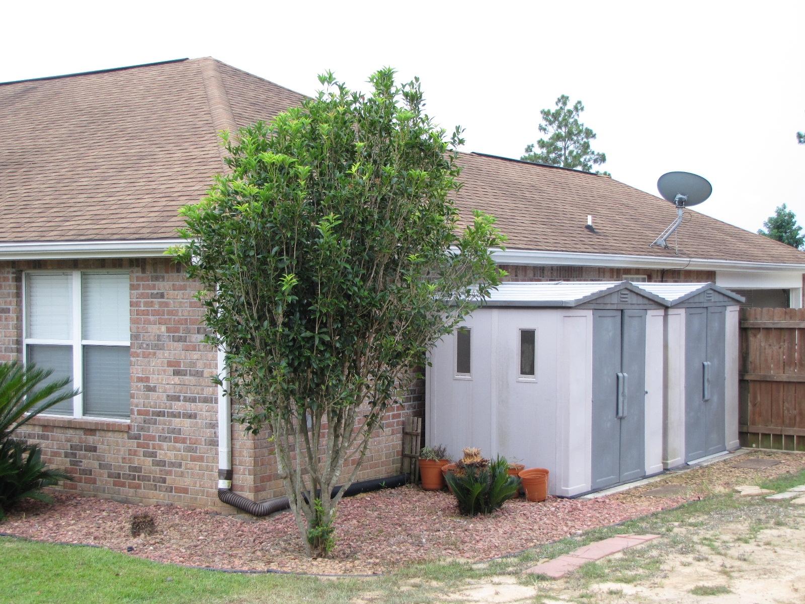 SILVER OAKS PH 2 - Residential Lease