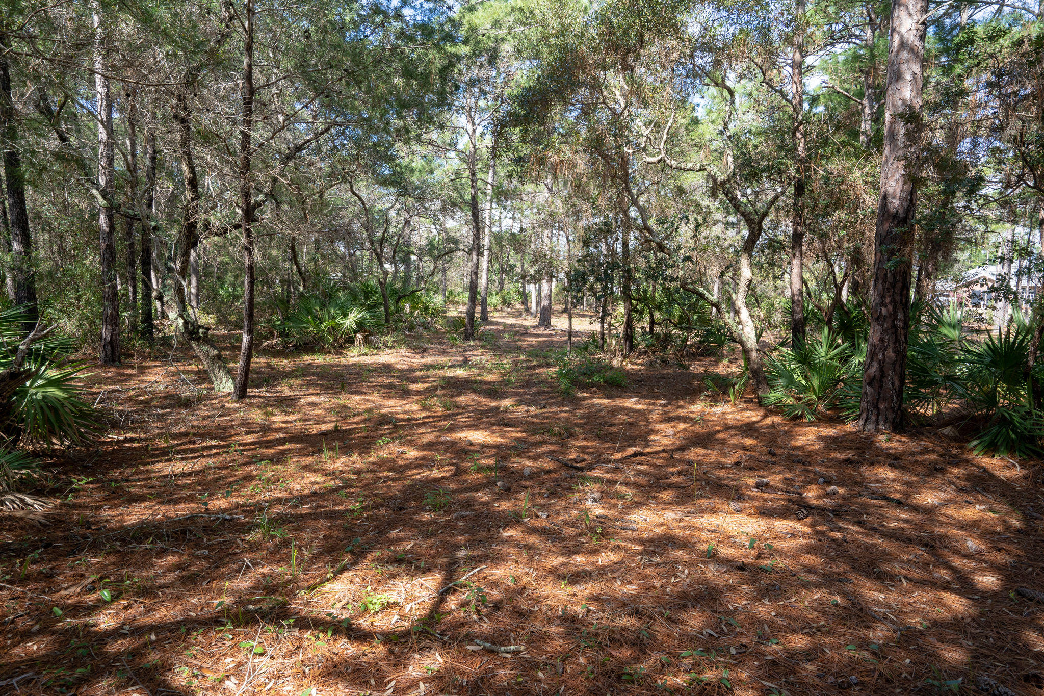 BURNT PINE - Land