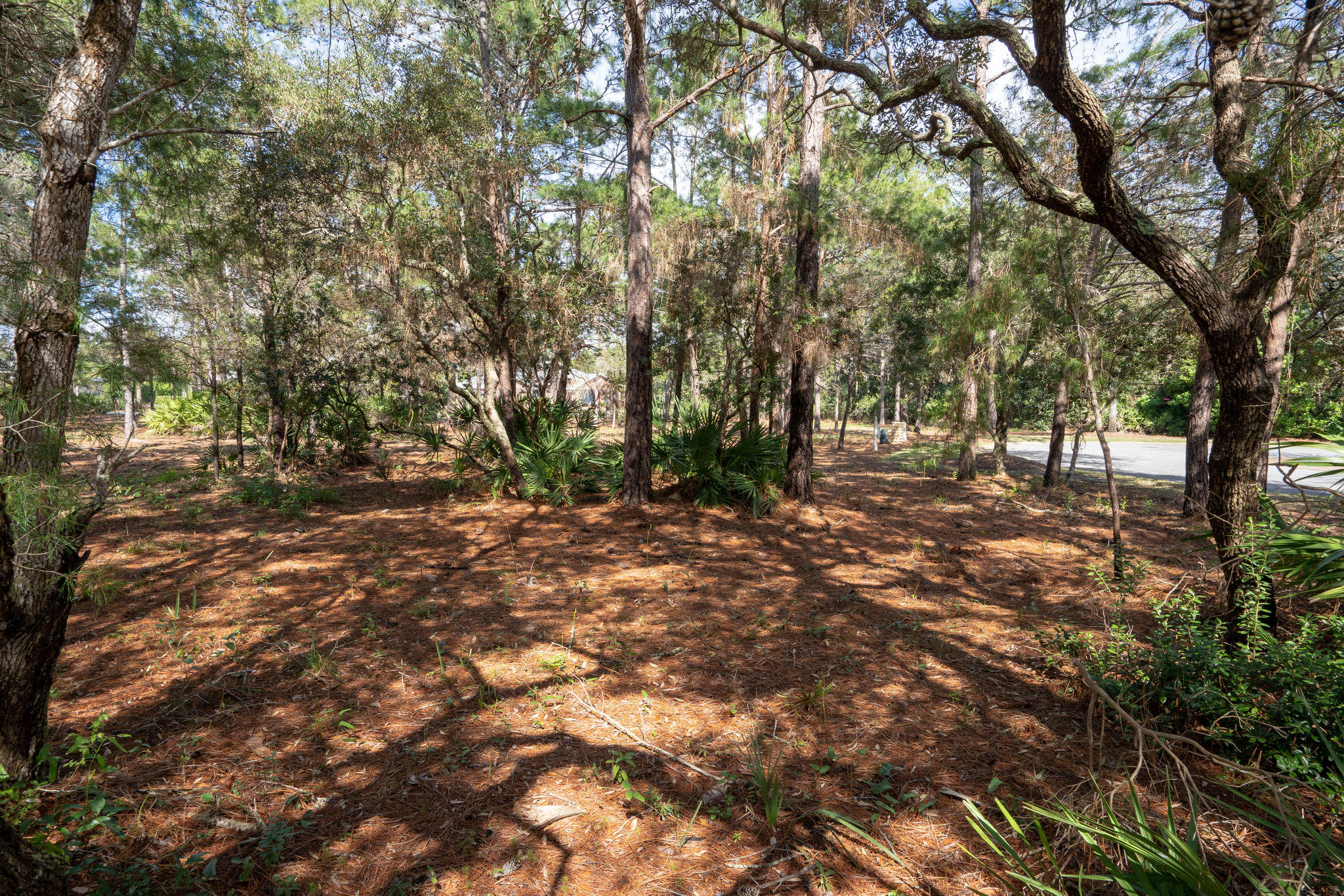 BURNT PINE - Land