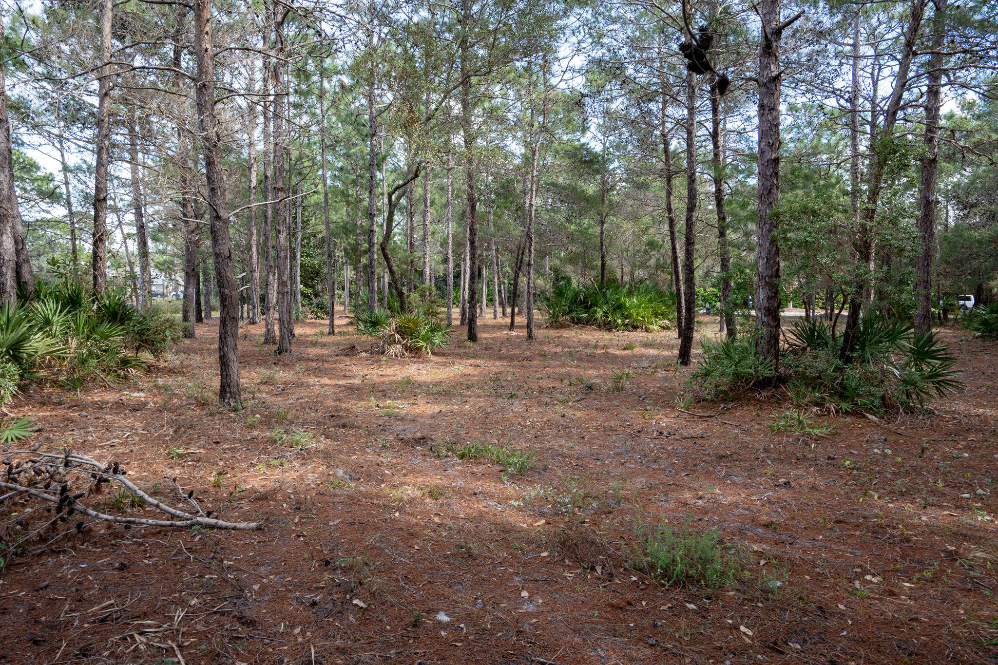 BURNT PINE - Land