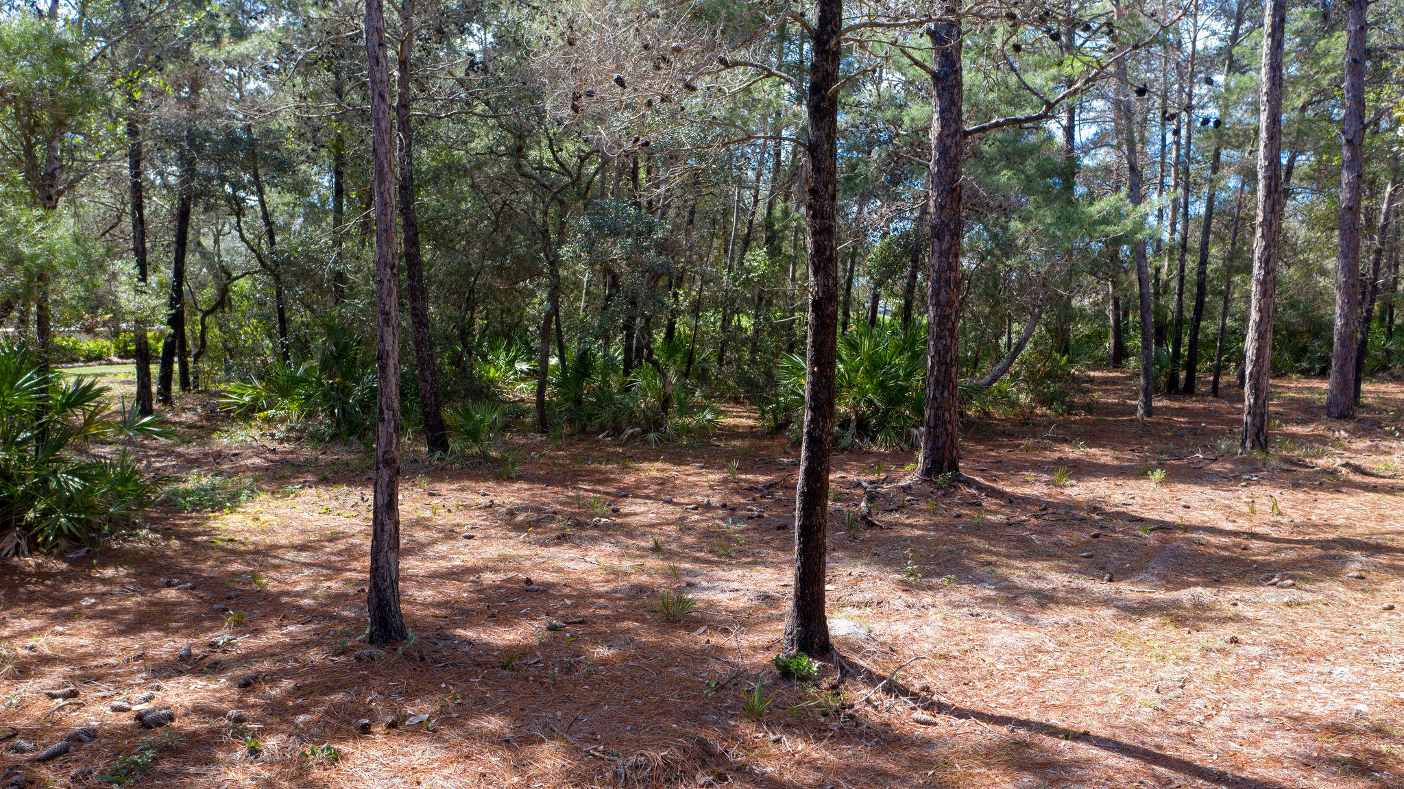 BURNT PINE - Land