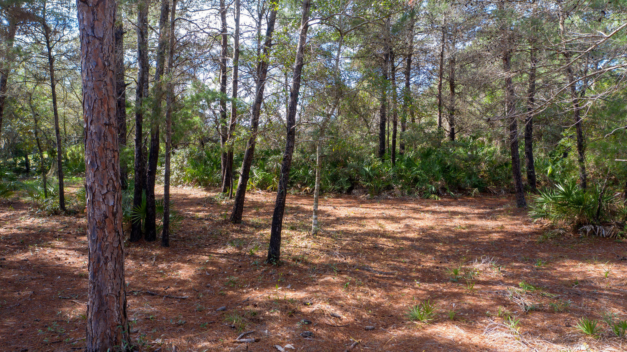 BURNT PINE - Land