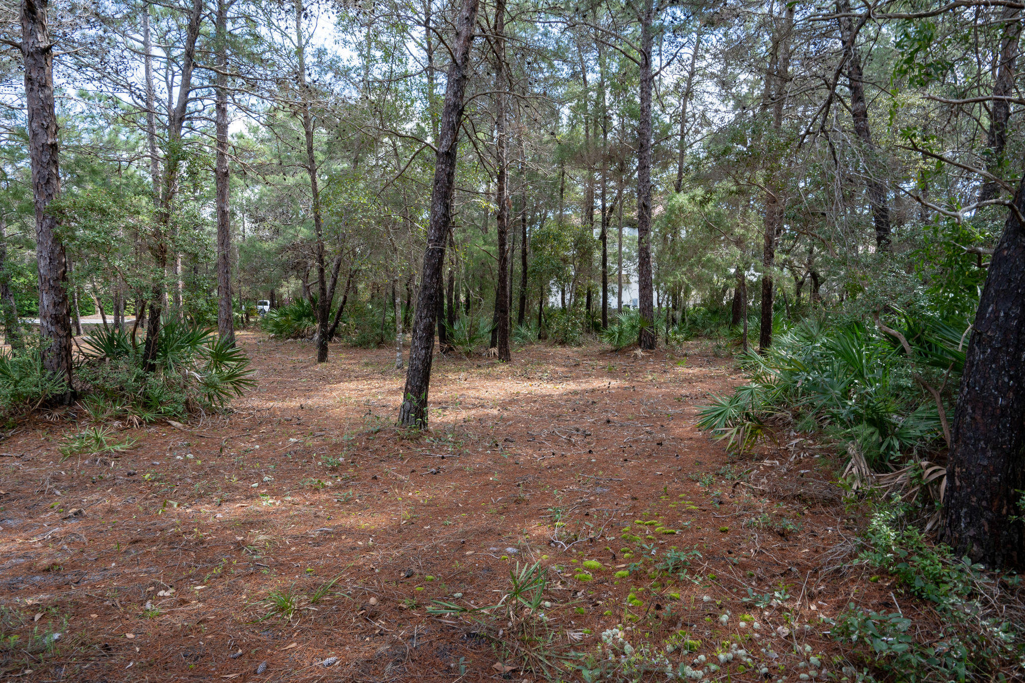 BURNT PINE - Land