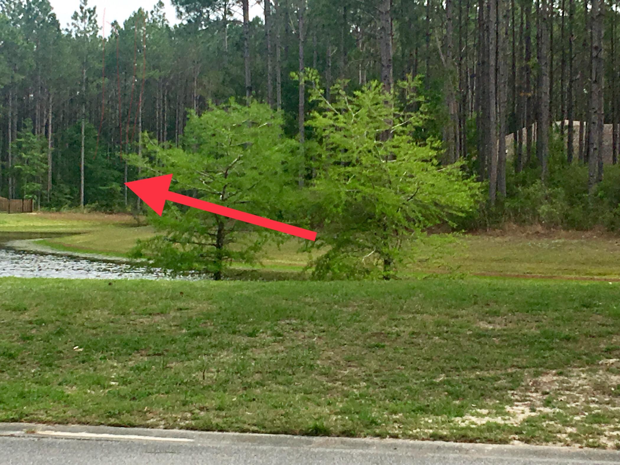 HAMMOCK BAY - Land