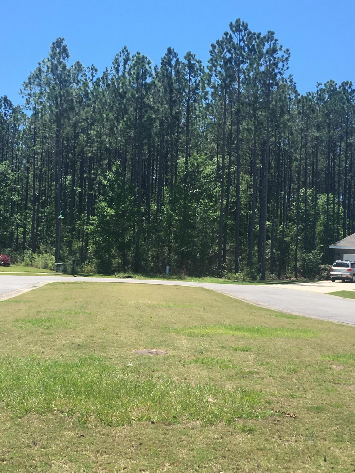 HAMMOCK BAY - Land