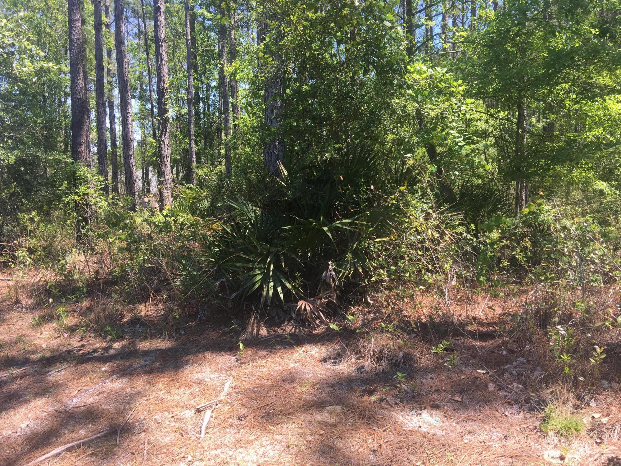 HAMMOCK BAY - Land