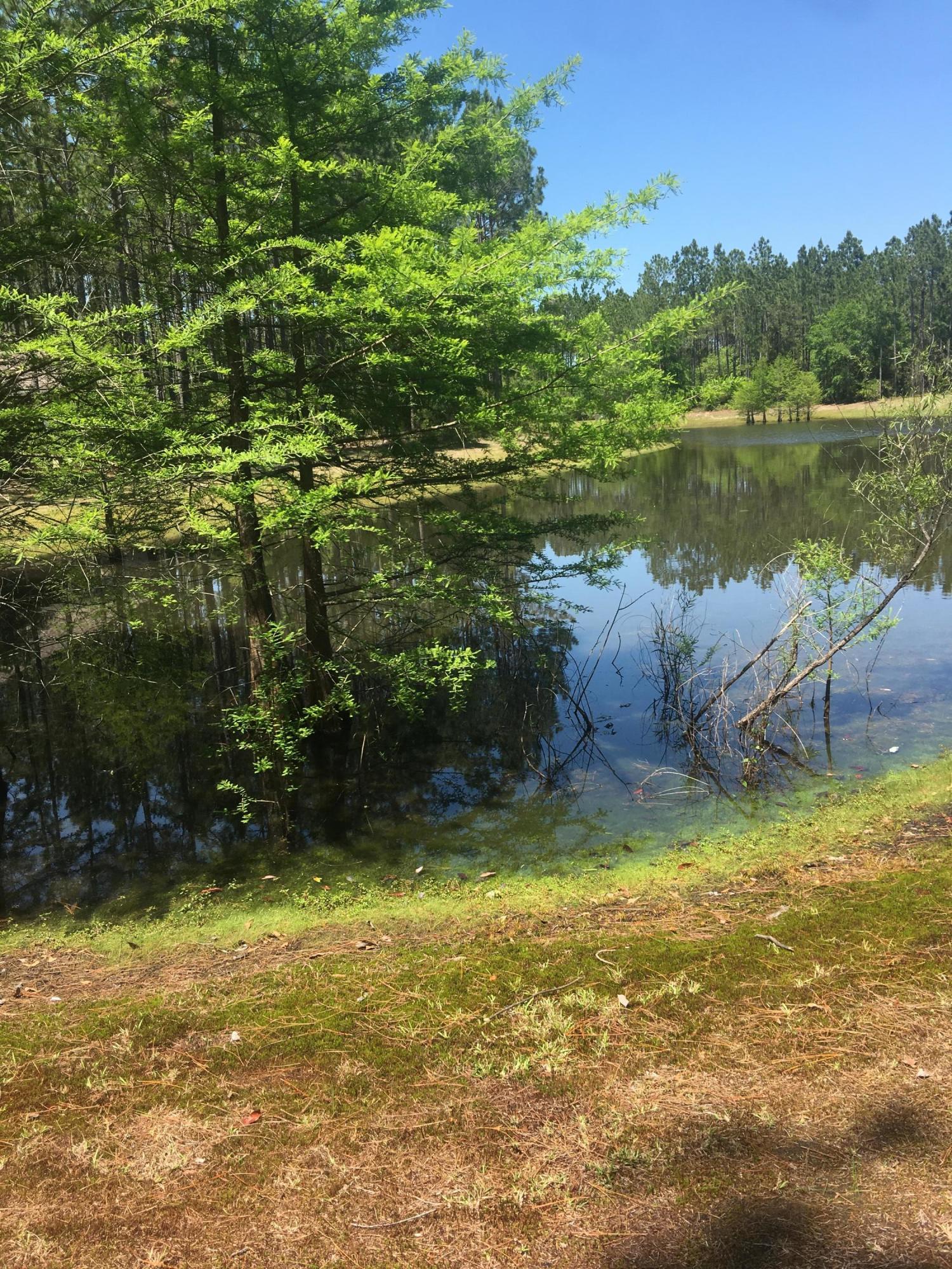 HAMMOCK BAY - Land