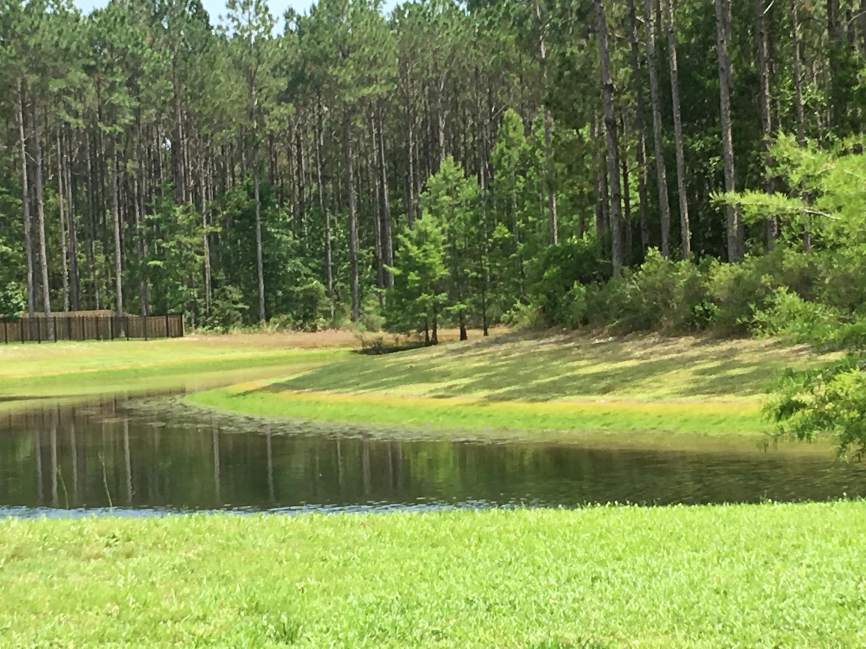 HAMMOCK BAY - Land