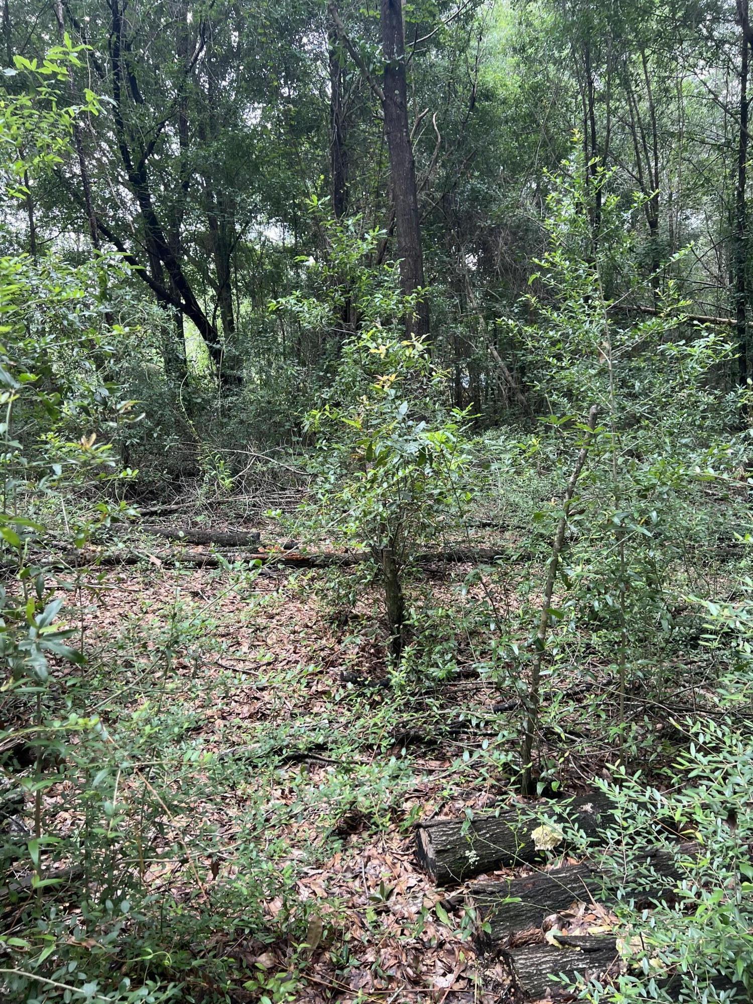 WHISPERING LAKES ESTATES - Land