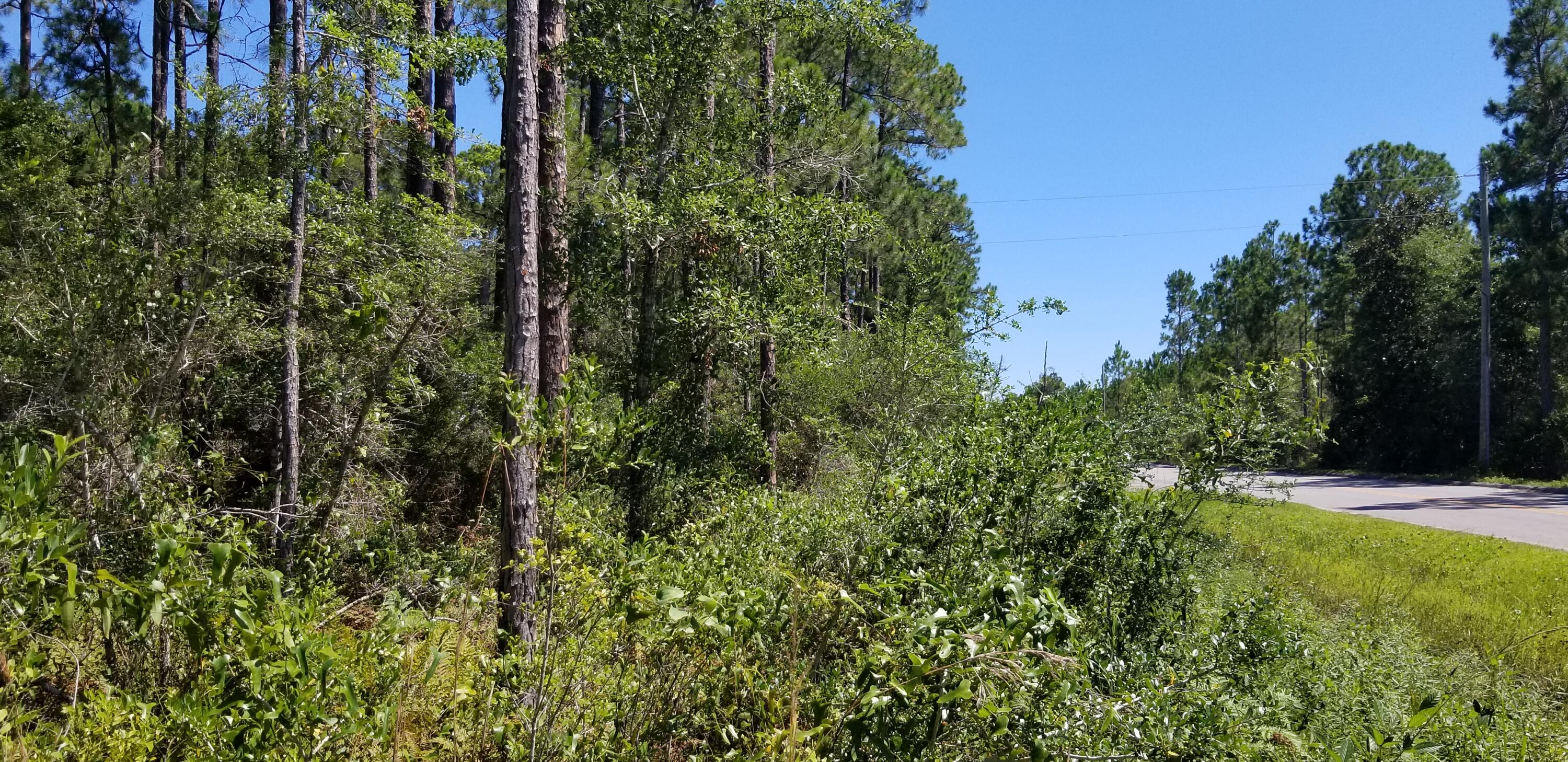 SANTA ROSA PLANTATION - Land