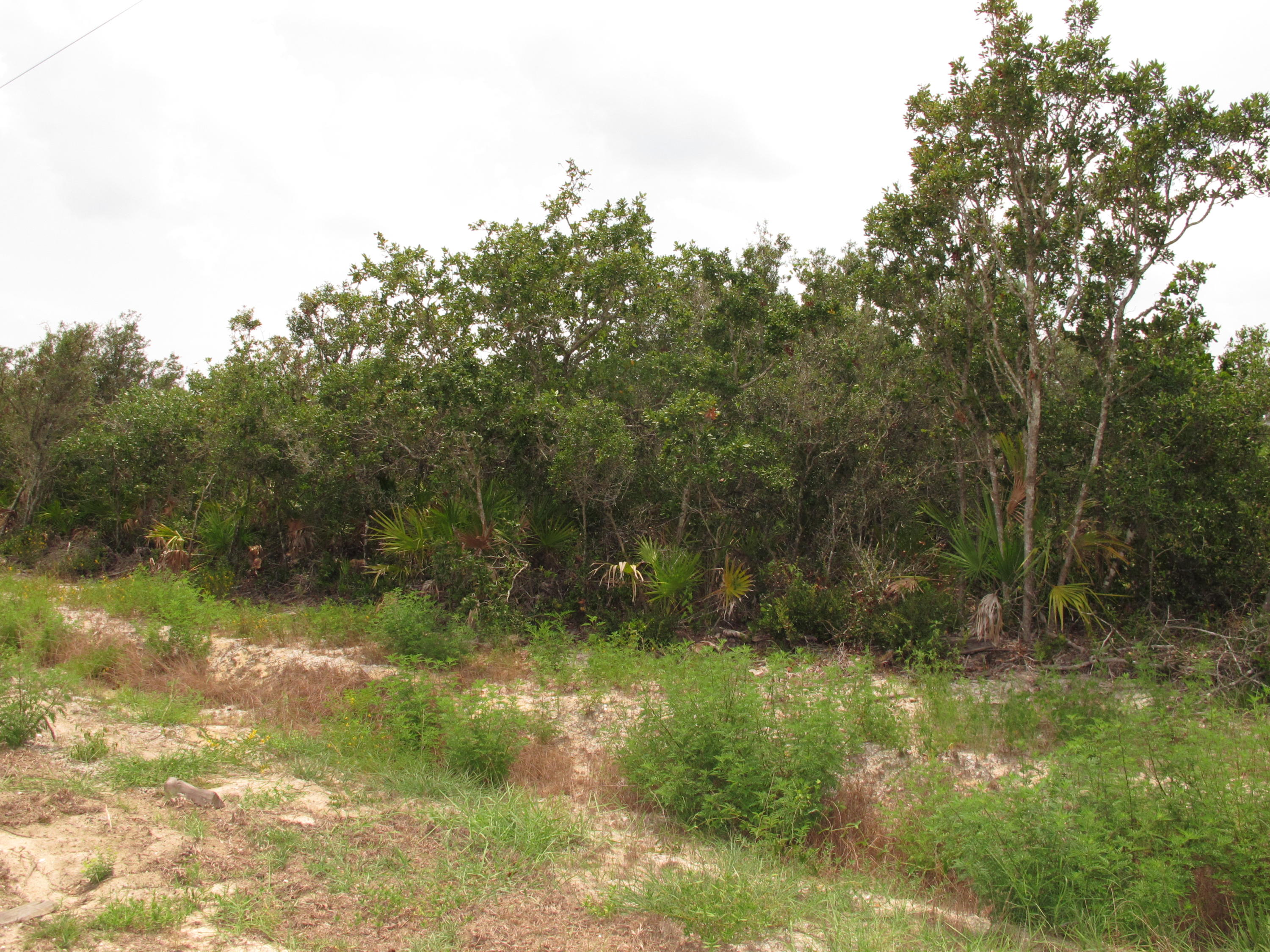 Seascape Subdivision - Land