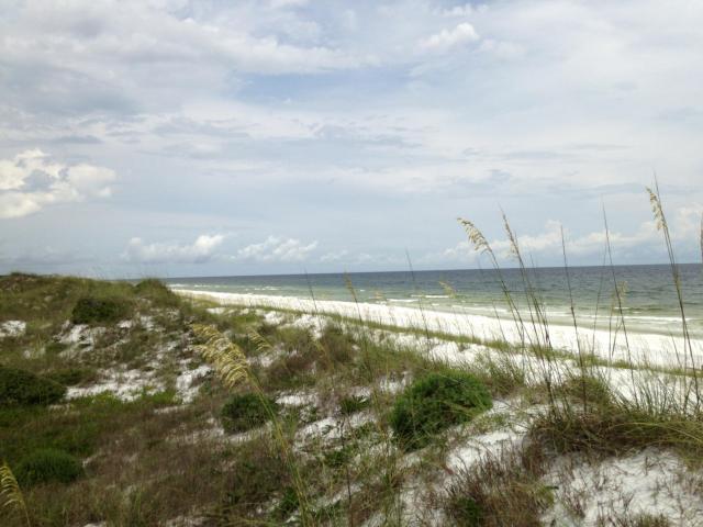 Topsail Preserve - Land