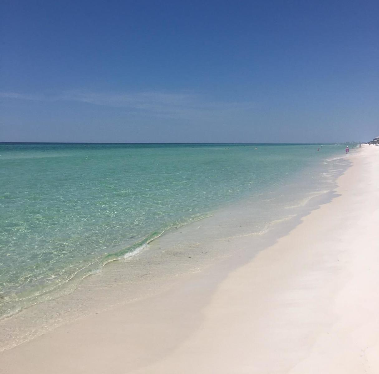 THE PRESERVE AT GRAYTON BEACH - Residential