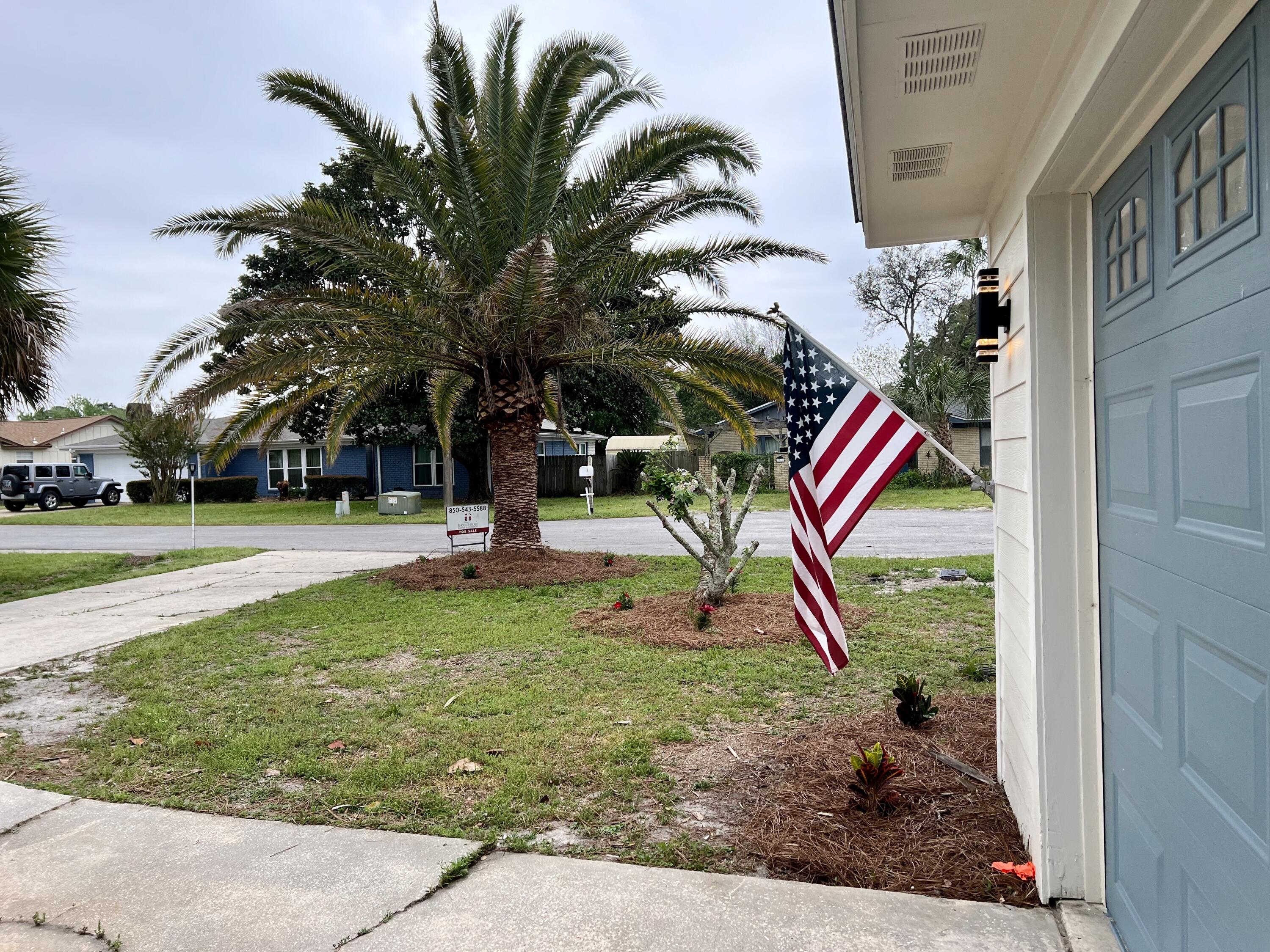 PINE BEACH GROVE - Residential