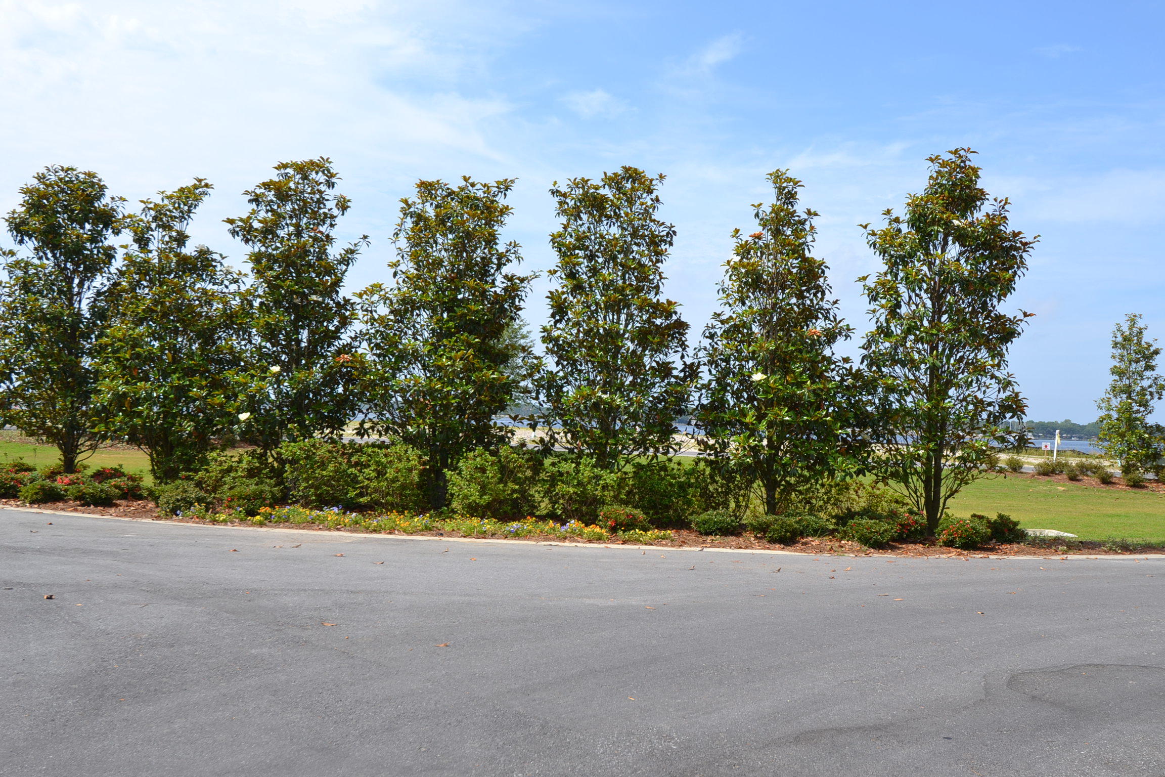 The Pointe - Land
