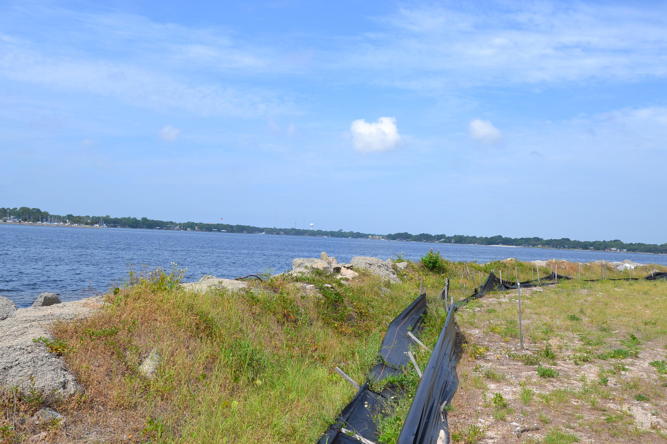 The Pointe - Land