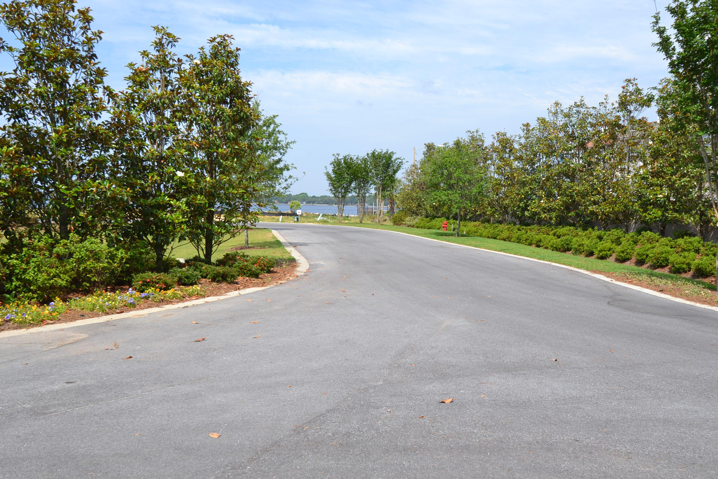 The Pointe - Land