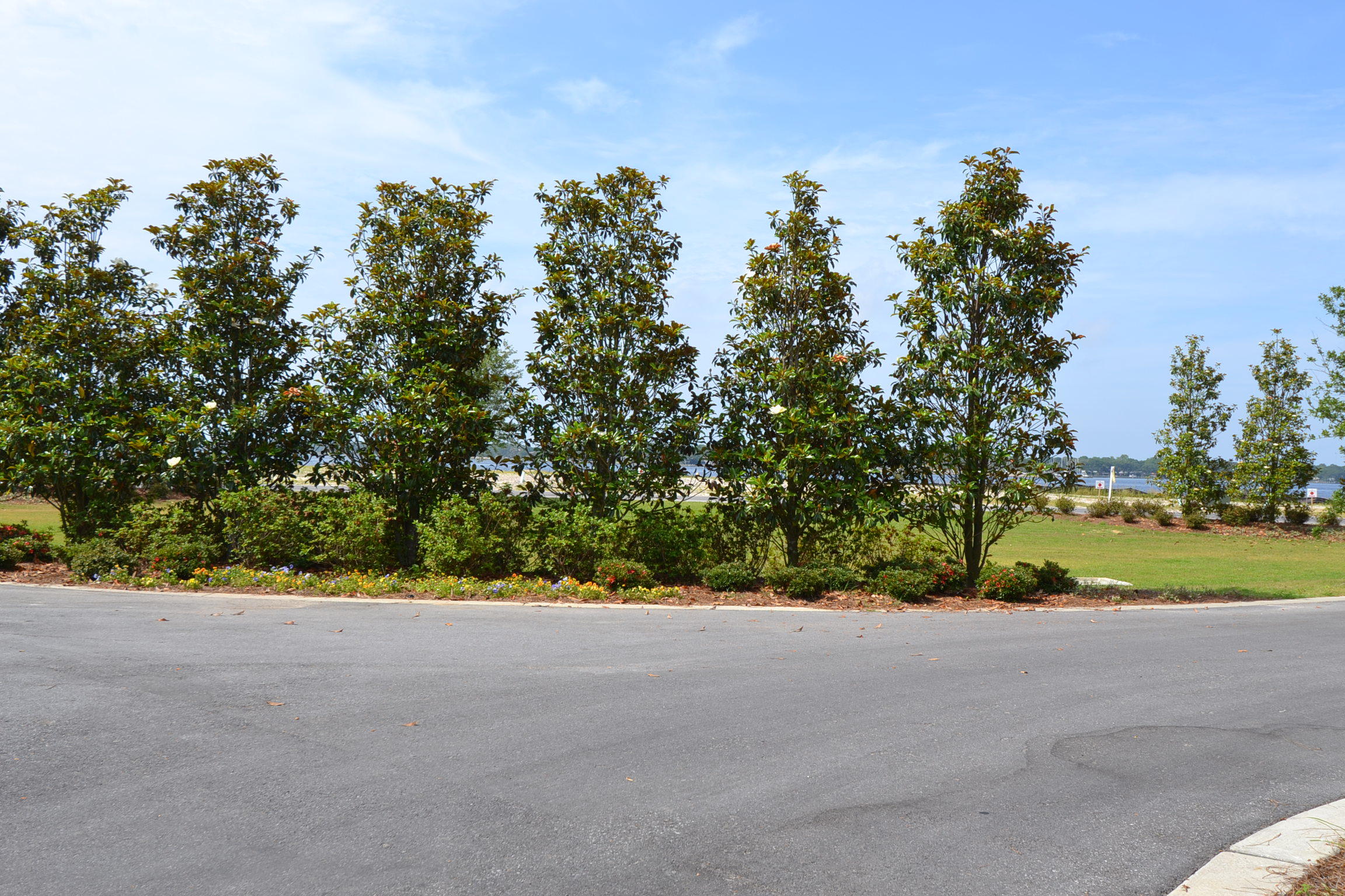 The Pointe - Land